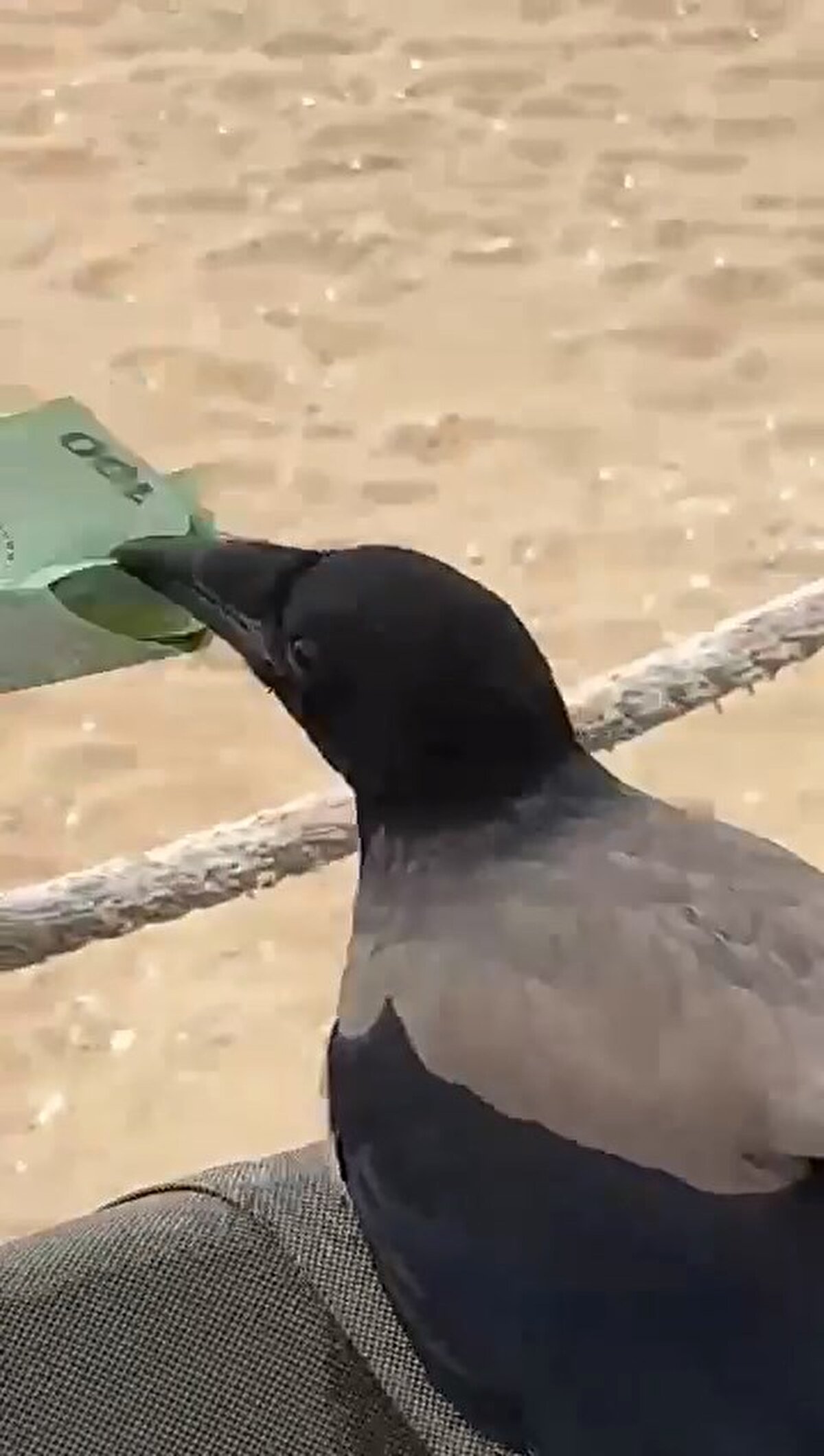 Yaşanan bu olay otele gelen başka bir misafir tarafından cep telefonu kamerasıyla kaydedildi.