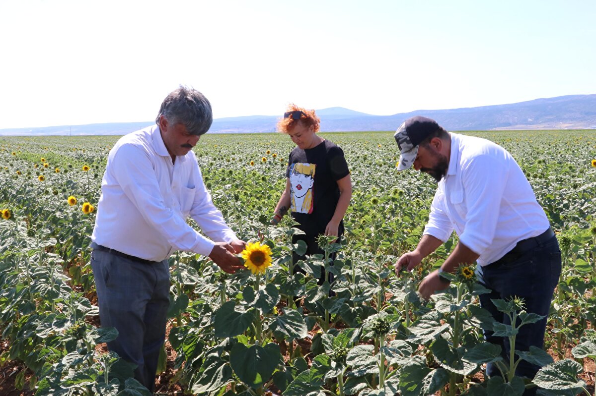 Buluşan, "Zarar, bu bölgede daha fazla. Diğer bölgelere sıçramadı. Mücadelemiz, bunun yaşamasını ve üremesini durdurmak içindir. Bunda da başarılı olundu" dedi.<br>