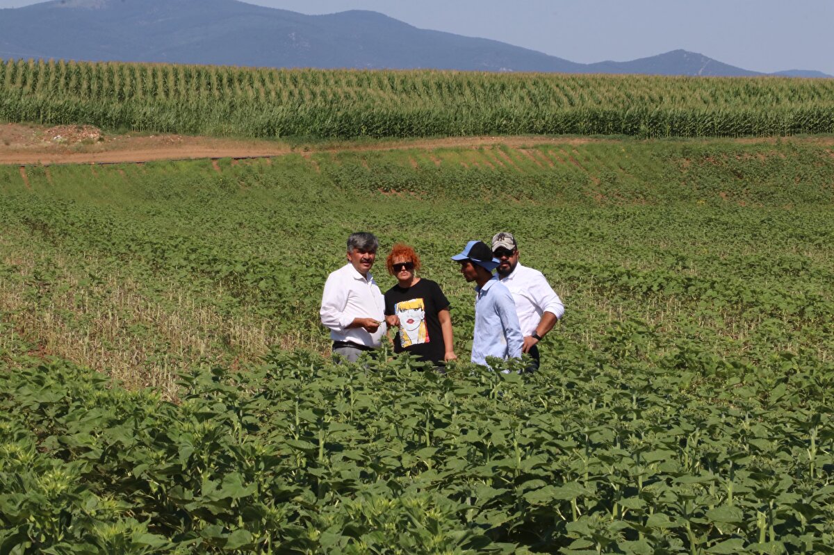 Zararı en az indirmek için çiftçiler ile yetkililer, tırtılların istila ettiği tarlalarda ilaçlama çalışması yaptı.<br>