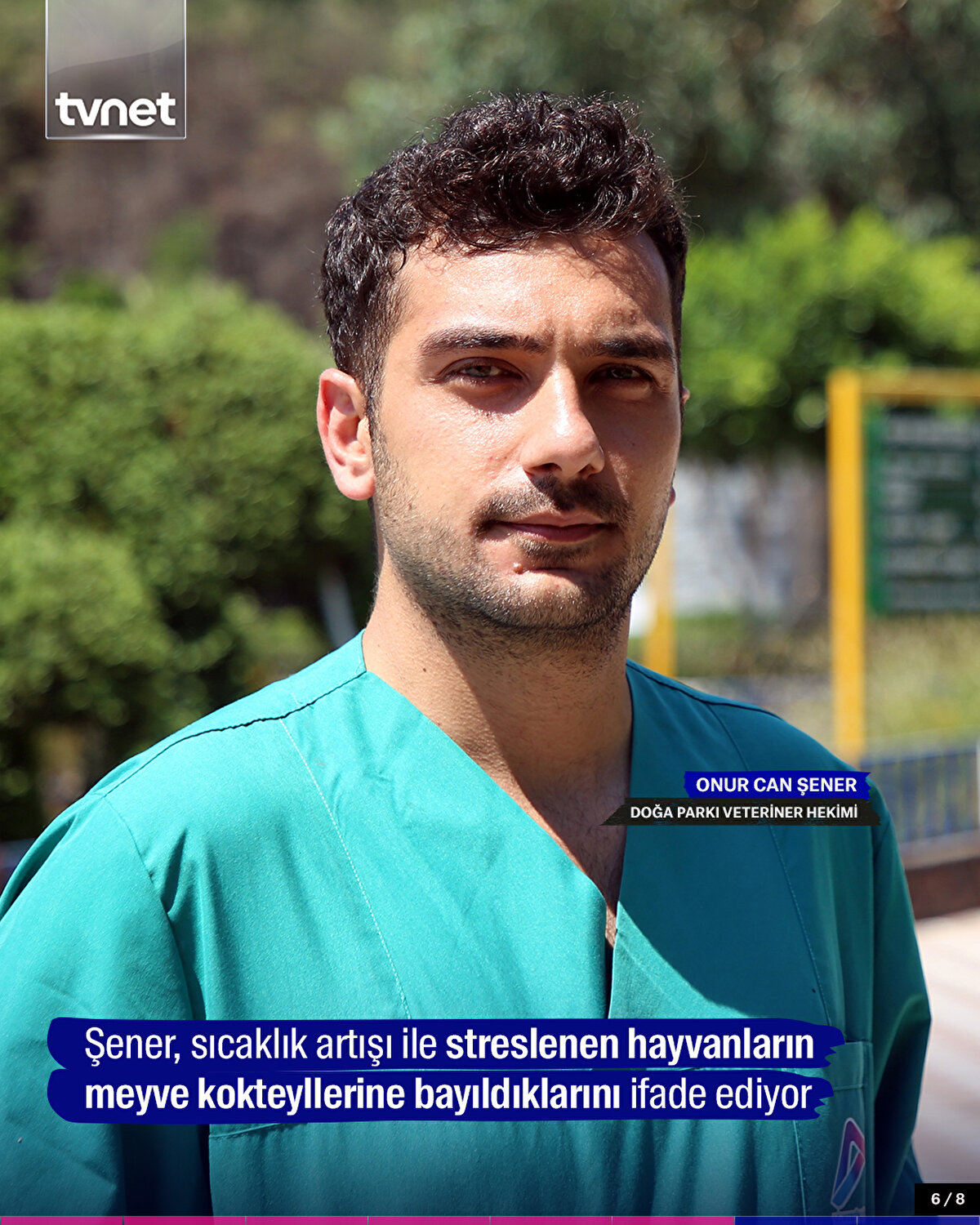 Şener, sıcaklık artışı ile streslenen hayvanların meyve kokteyllerine bayıldıklarını ifade ediyor