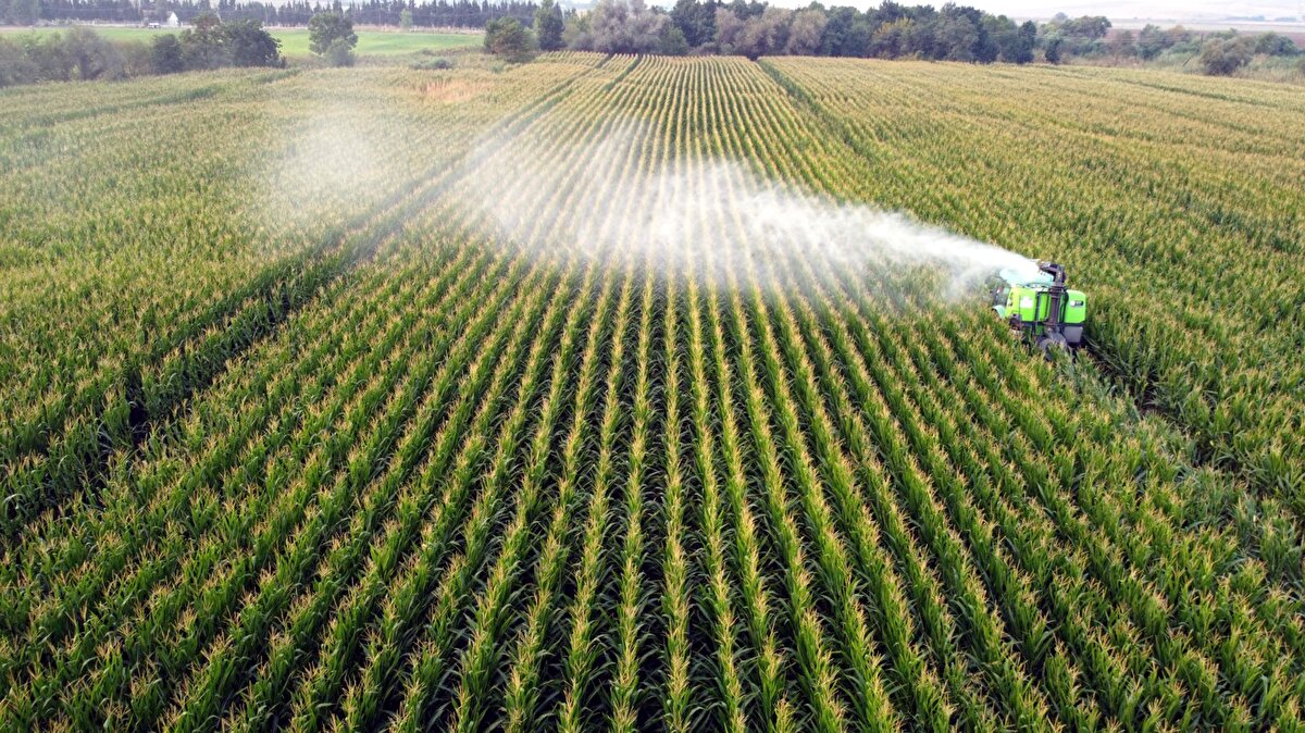 Yani artık, 'ektim tarlaya sadece hasada gidiyorum' gibi bir durumun söz konusu olmadığını söyleyen Sağlam, sözlerine şu şekilde devam etti:<br><br>"Çiftçilerimiz sahada daha çok olmalı. Benzer şekilde tarım il müdürlükleri bu süreçleri iyi takip ediyor. Ama tarım il müdürlüklerinde, ilçe müdürlüklerinde çalışan ziraat mühendislerinin üzerindeki evrak yükünün de biraz azaltılıp sahada daha fazla bu kontrol izleme ve bilgilendirme yapması gerekiyor."<br><br>