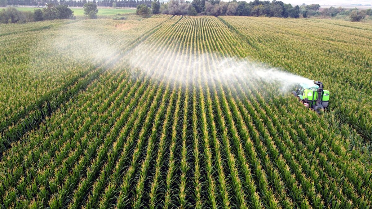 Sağlam, "Kontrollerin özellikle üretim esnasında, üreticinin sahada ve tarlasında olması sürekli çevresindeki işaretçileri iyi okuması gerekiyor" diyerek çiftçinin bilinçlenmesinin çok önemli olduğunu vurguladı.<br><br>