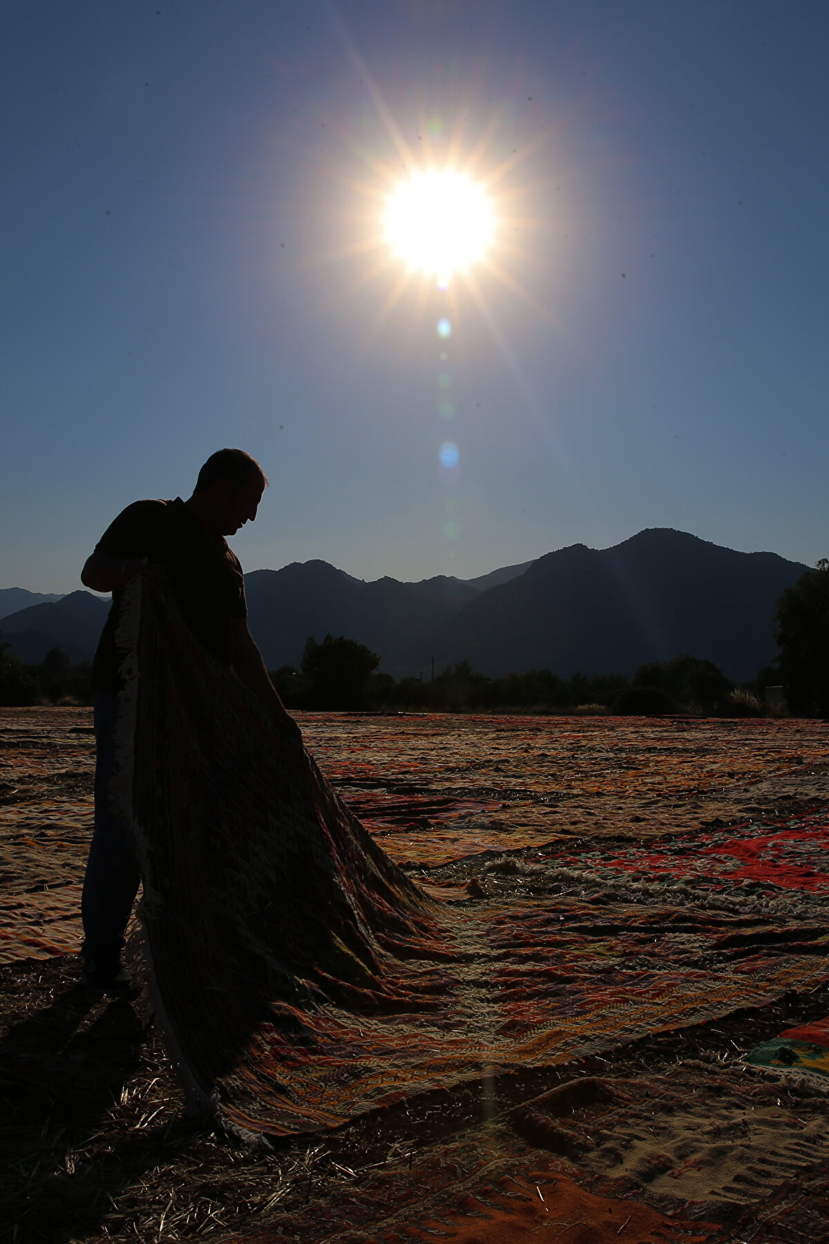 Her halının farklı işleme tabi tutulduğunu söyleyen Topkara, halı ve kilimlerin 1 ya da 4 ay kadar farklı sürelerde güneş tarlalarında kaldığını bildirdi. Topkara, dokumaları haziranda sermeye başladıklarını ve ekime kadar tarlada bulunduklarını anlattı.<br>