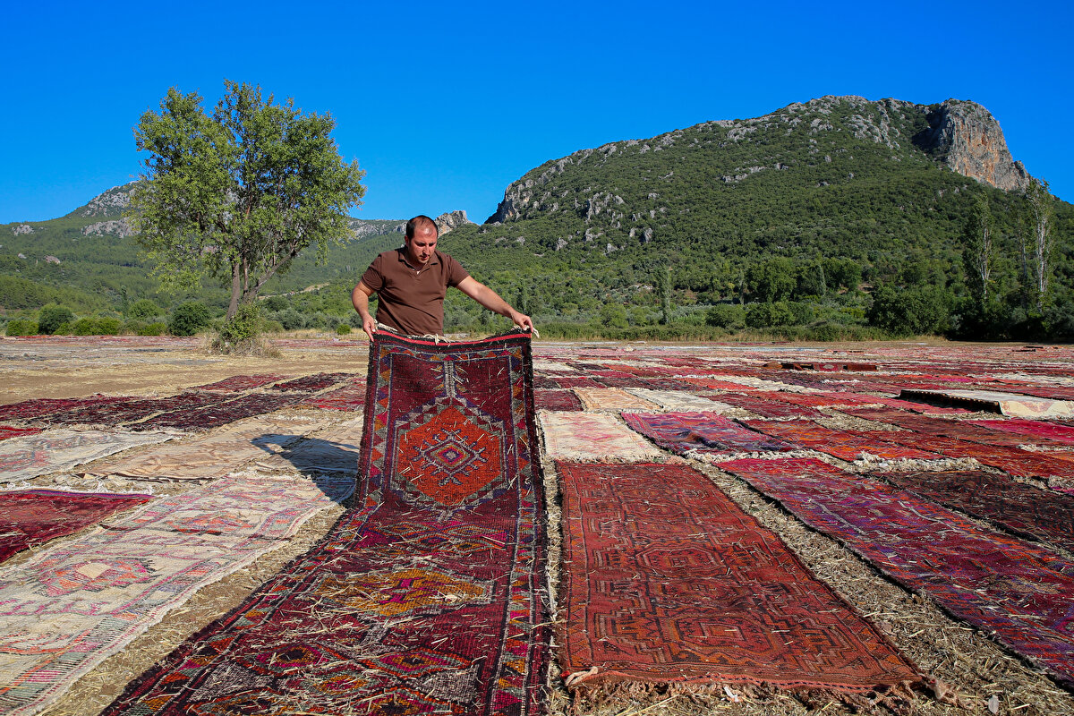Türkiye'nin dört bir yanından, dokuyanın anılarını, acılarını, sevinçlerini ilmek ilmek işlediği, motifleriyle gücü, kudreti, sevgiyi ve aile birliğini simgeleyen halı ve kilimler, ilçeye getiriliyor. Yıkanıp, kurutulan ve onarımdan geçirilen halılar, mikroplarından arınması ve renklerinin pastele dönüşmesi için tarlalara seriliyor.<br>