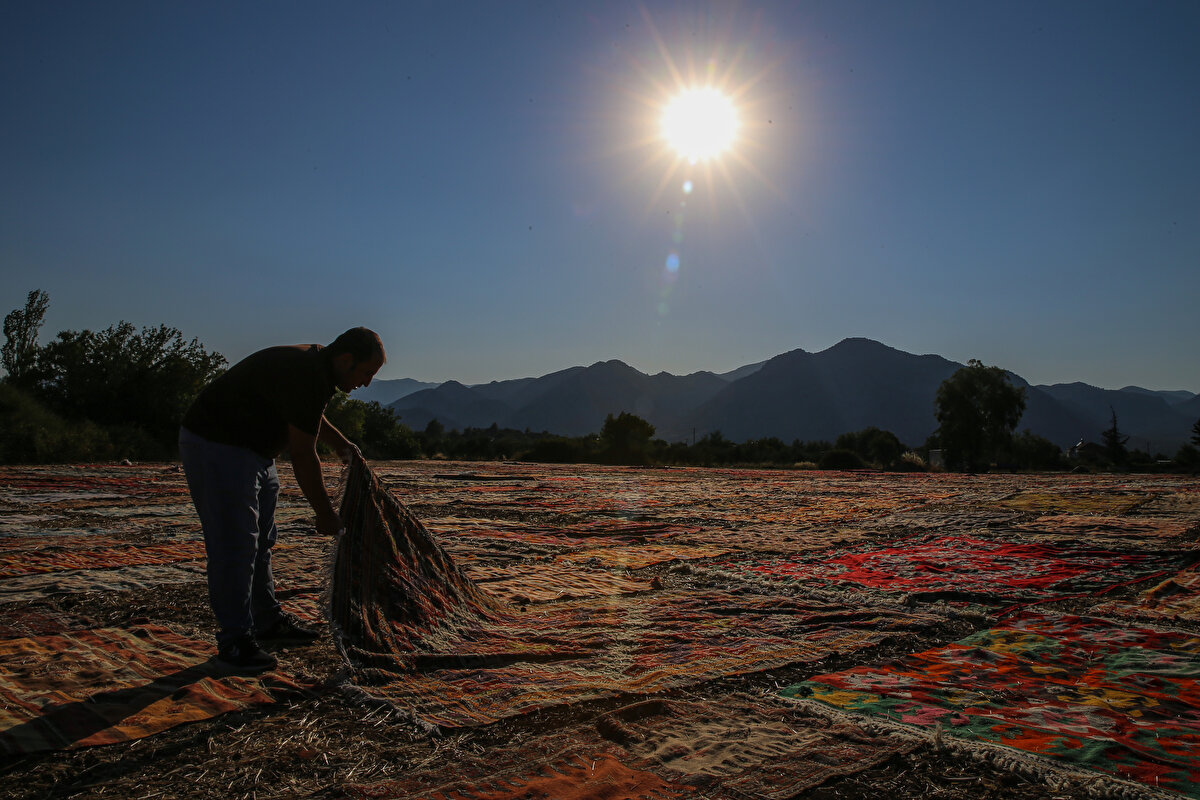 Yaklaşık 100 dönümlük arazilerinin olduğunu belirten Topkara, bu yıl 20 bin civarında halıyı araziye serdiklerini belirtti. Halının her iki tarafındaki renklerin eşitlenmesi ve pastelleşmesi için sık sık kontrol ettiklerini anlatan Topkara, belli dönemlerde halı ve kilimleri ters çevirerek istedikleri tonu verdiklerini kaydetti.<br>