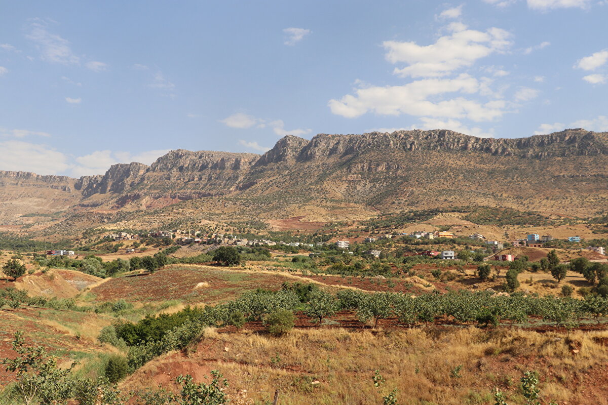 Muhtar Baykara da ara sıra gelen ses ve meydana gelen sarsıntıların çok kısa sürdüğünü ve özellikle gece saatlerinde bu sesler üzerine uyandıklarını anlattı.<br>