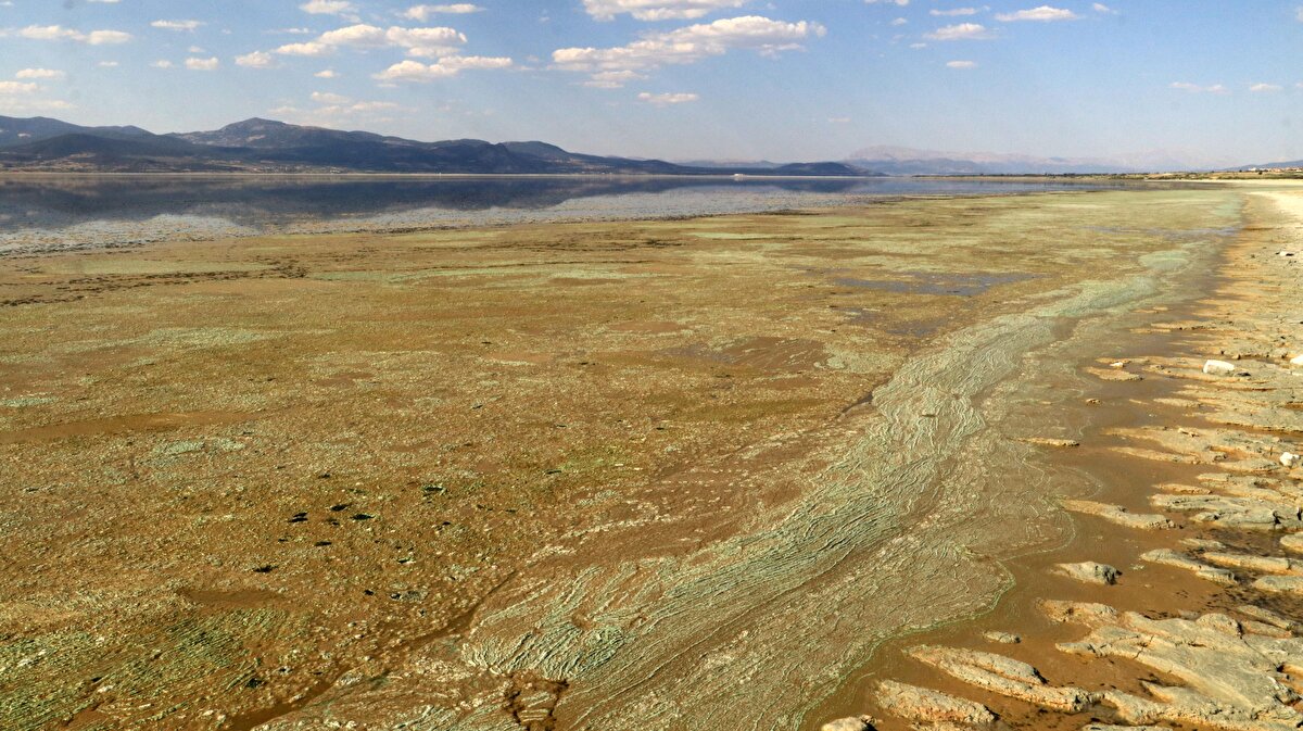 Uzmanlara göre farklı organizmaların gelişmesi göldeki durumun kötüye gittiğini gösteriyor. Önlem alınmazsa göl tamamen kuruyabilir.<br><br>