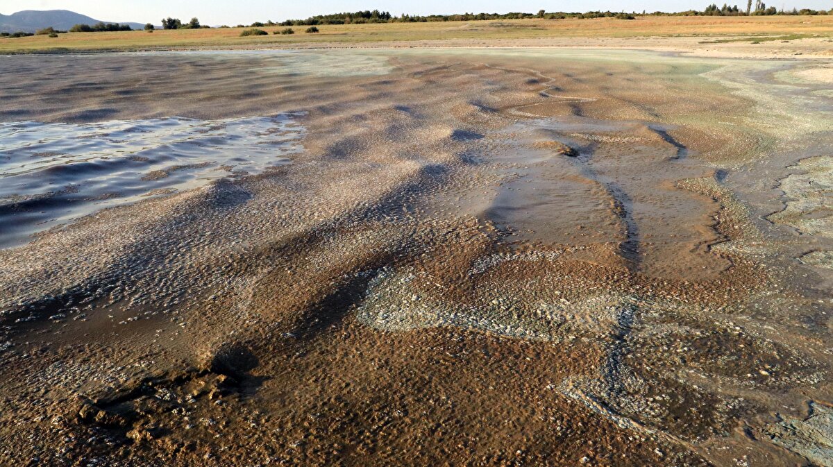 Gölün yaralı ve yardıma ihtiyacı olduğunu belirten Dr. Gülle, "Siyanobakteri veya mavi-yeşil alg patlaması aslında bize Burdur Gölü'nün S.O.S verdiğini gösteriyor. Bu yaralı hali daha uzun devam ederse tedavisi, yani eski haline gelmesi daha zor olacaktır" dedi.<br><br>