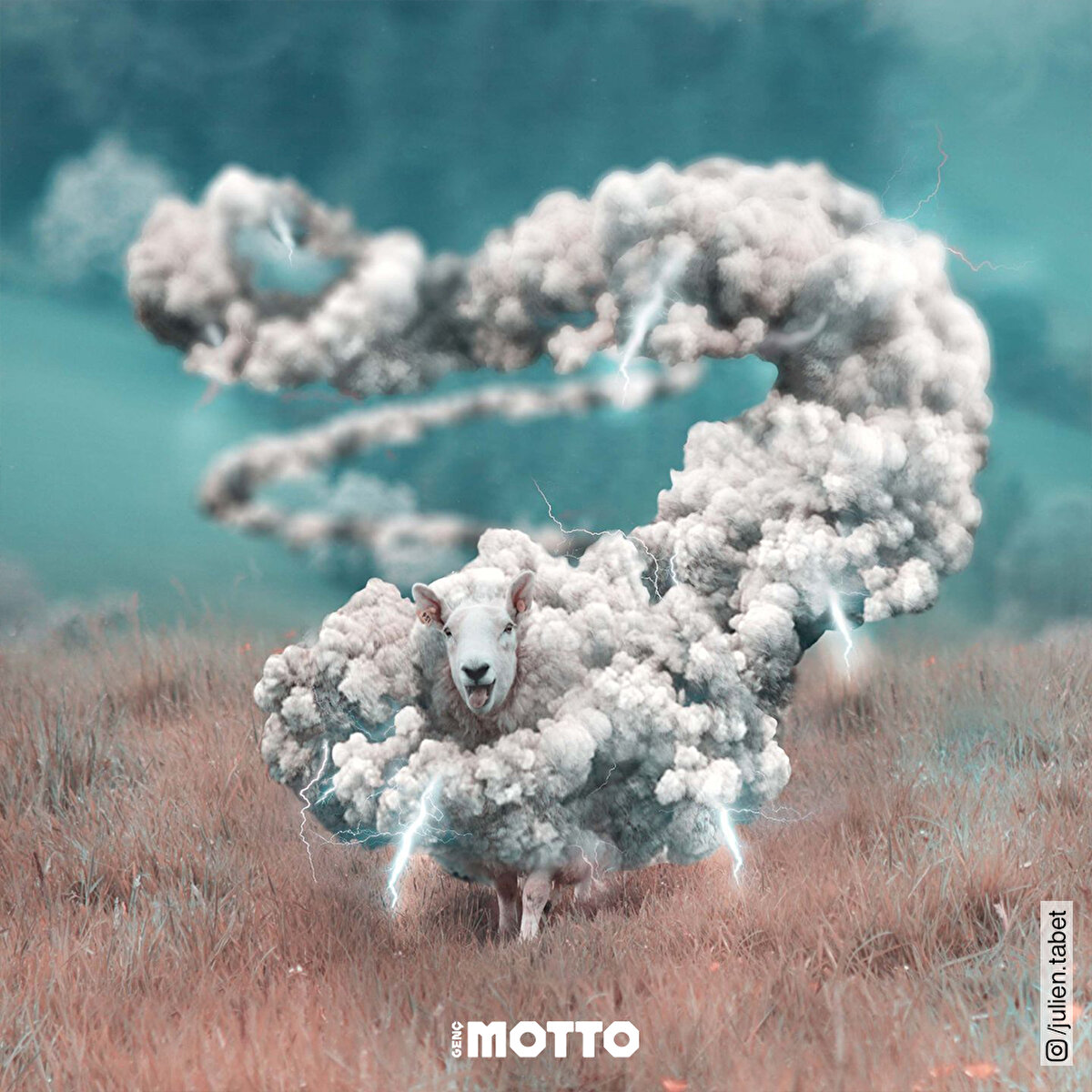 Doğa ve hayvanların muhteşem buluşması 😍