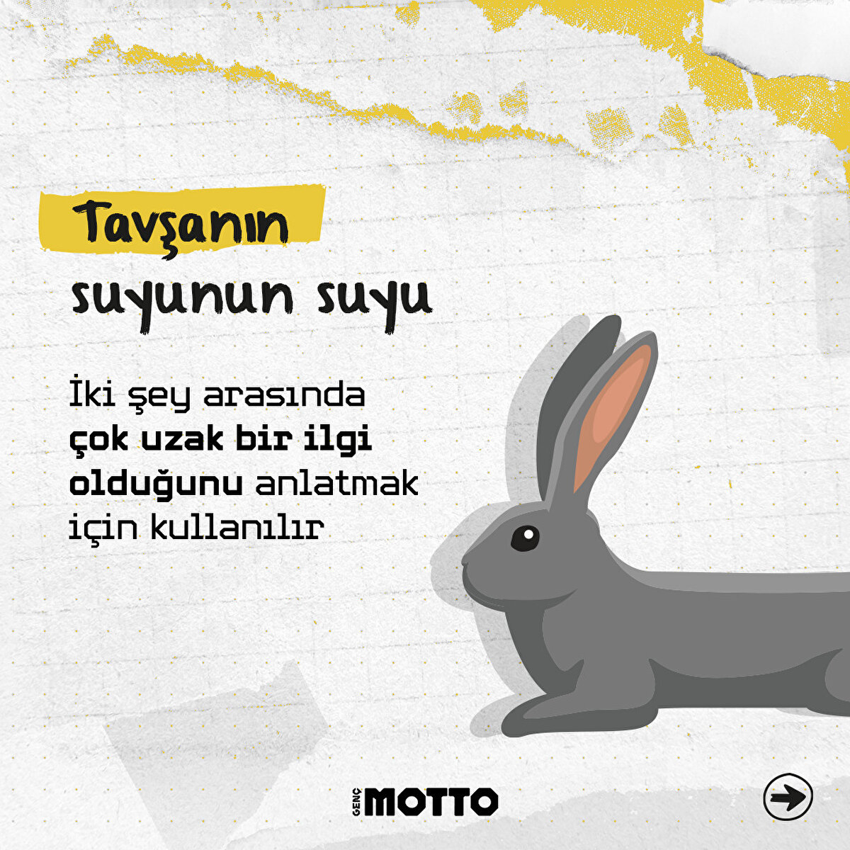 Tavşanın suyunun suyu:
İki şey arasında çok uzak bir ilgi olduğunu anlatmak için kullanılır