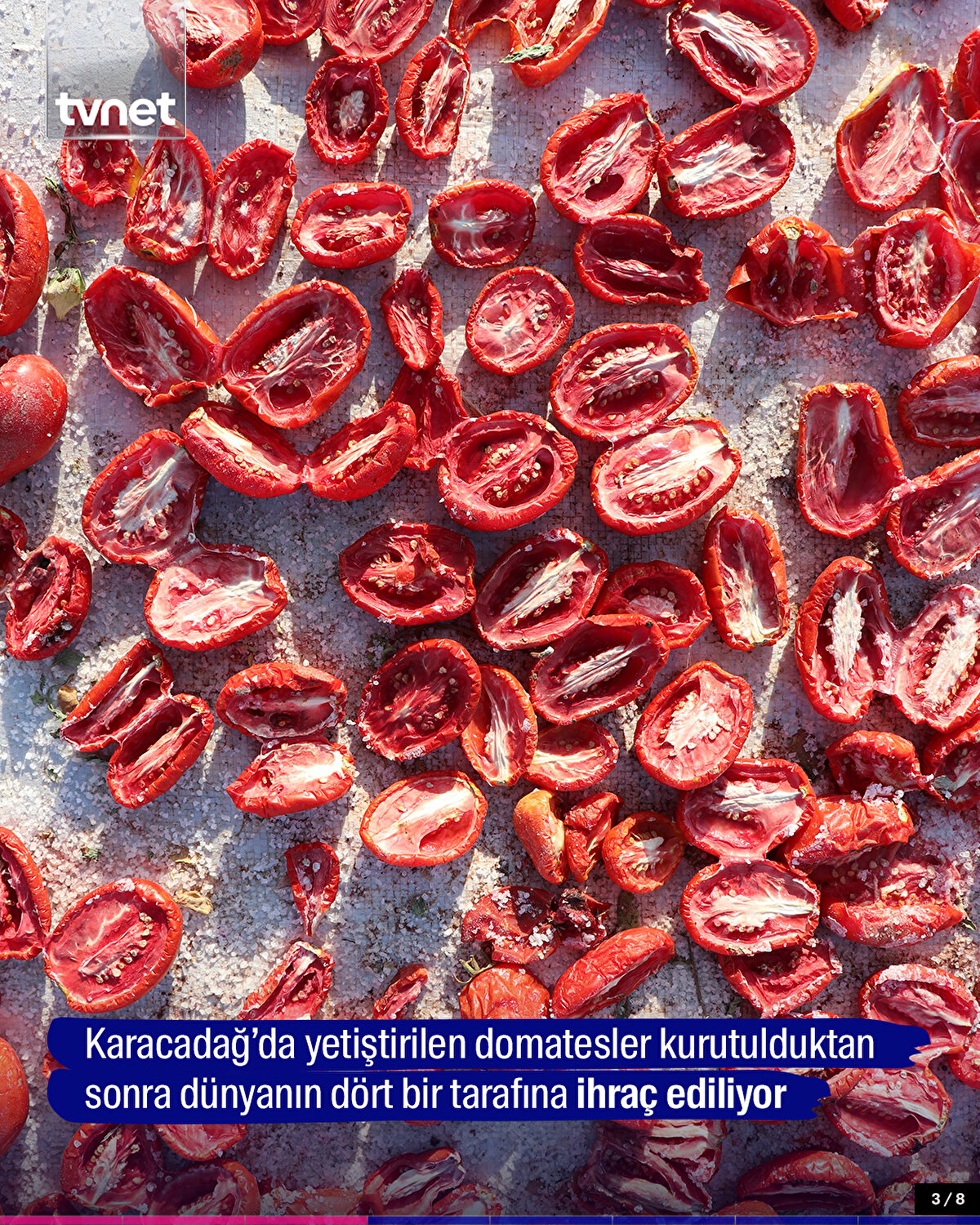 Karacadağ bölgesinde yetiştirilen domatesler kurutulduktan sonra dünyanın dört bir tarafına ihraç ediliyor