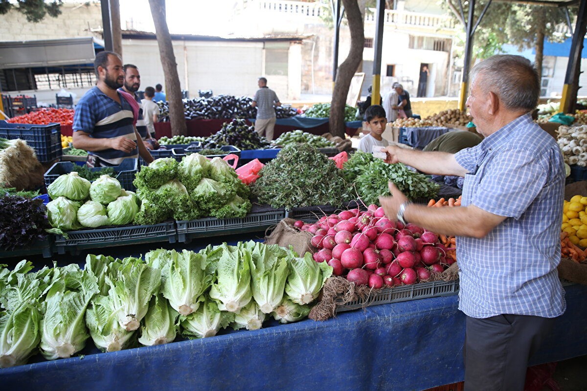 Prof. Dr. İbrahim Hayoğlu, bunların yanı sıra ara öğün olarak ceviz, fındık ve fıstık gibi ürünlerin de tüketilmesinin vücudun dinç tutulması açısından faydalı olacağını sözlerine ekledi.<br>