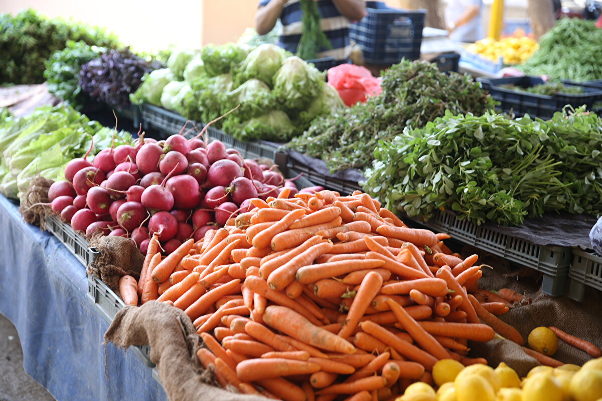 "Vücudun direncini arttırmak ve salgınlardan korunmak hem de yaz sıcaklarına karşı dirençli olmak için özellikle vücudun su ihtiyacını karşılamak gerekiyor. Su kaybı sırasında vücutta mineral madde de kaybolur. Mineral maddenin kaybolması vücuttaki elektrolit dengeyi bozar, bu dengenin bozulması sağlıklı bir insanda ve özellikle tansiyon sorunu olan kişilerde probleme yol açar. Bunu önlemek için vücudun hem su hem de farklı besinlerle direncin arttırılması gerekir. Özellikle yaz aylarında yetişkin bir insanın 2 ila 2,5 litre su içmesi gerekir. Mineral madde kaybını da takviye etmek amacıyla maden suyu içilebilir. Bunun yanında vücudu takviye etmek amacıyla yoğurt yenilmeli, ayran, taze hazırlanacak limonata içilmeli."