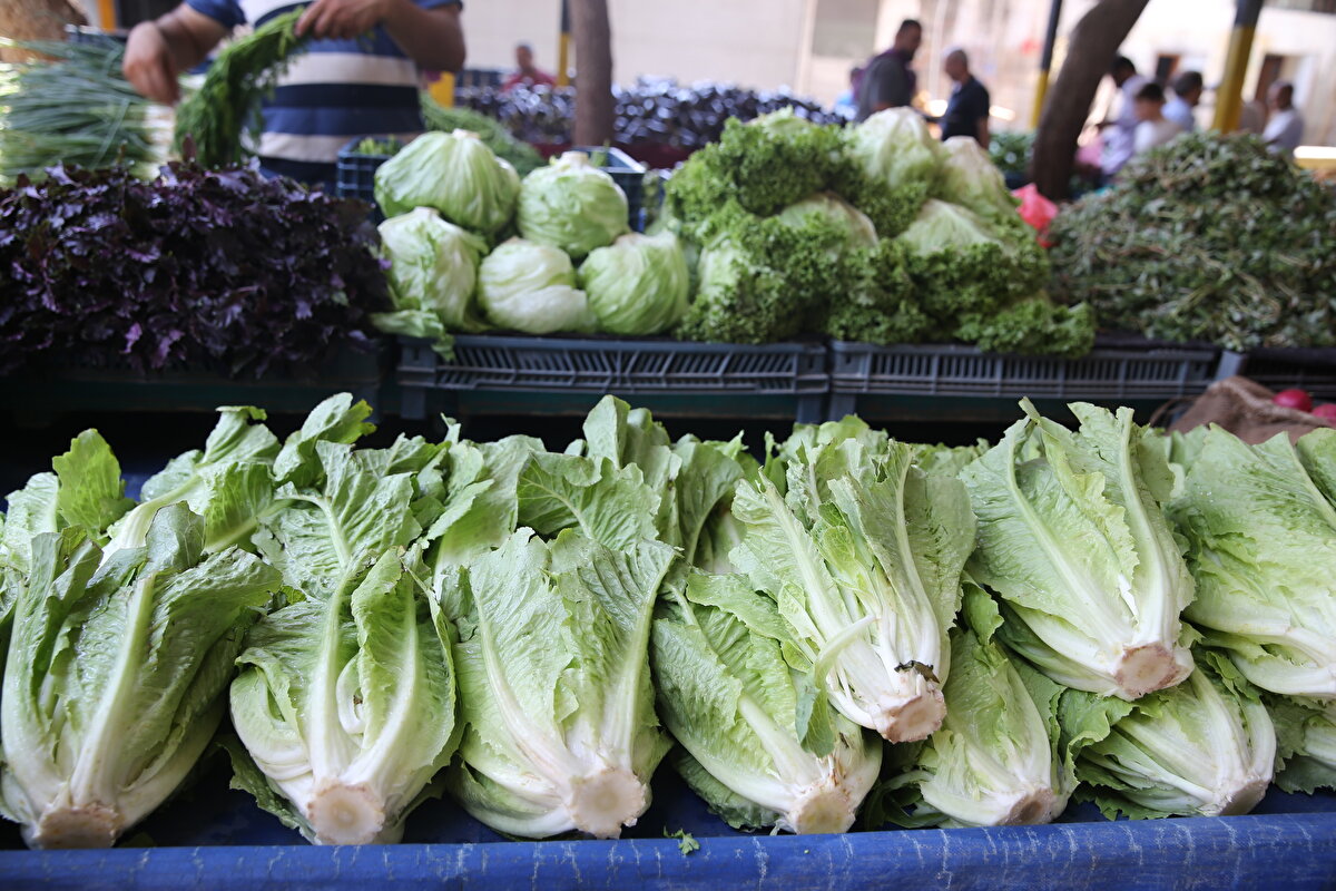 Beslenme alışkanlıklarının da vücudun direncini arttırma noktasında önemli olduğunu anlatan Hayoğlu, "Sıvı alımının yanında beslenme açısından özellikle yaz aylarında vücudun direncini arttırmak bir dizi tedbir olmalı. Vücudun direncini arttırmak için bol miktarda yeşillik, taze meyve ve sebze tüketimi çok önemli. Mesela karpuz tüketmek hem serinletici açıdan hem de susuzluk açısından önemlidir." dedi.<br>