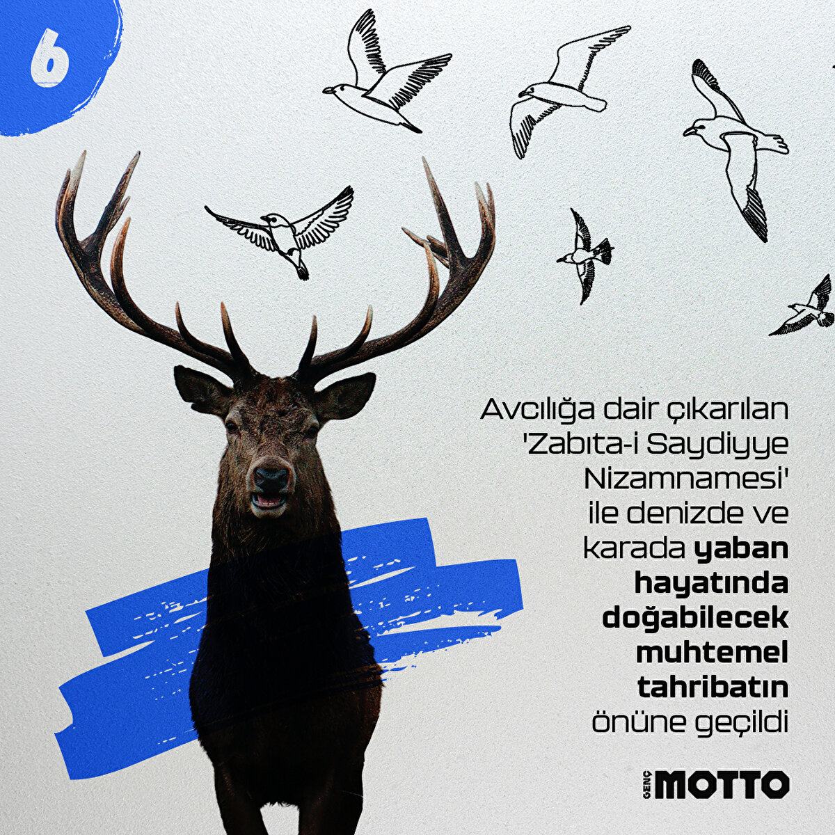 Avcılığa dair çıkarılan 'Zabıta-i Saydiyye Nizamnamesi' ile denizde ve karada yaban hayatta doğabilecek muhtemel keyfiliğin ve tahribatın önüne geçildi