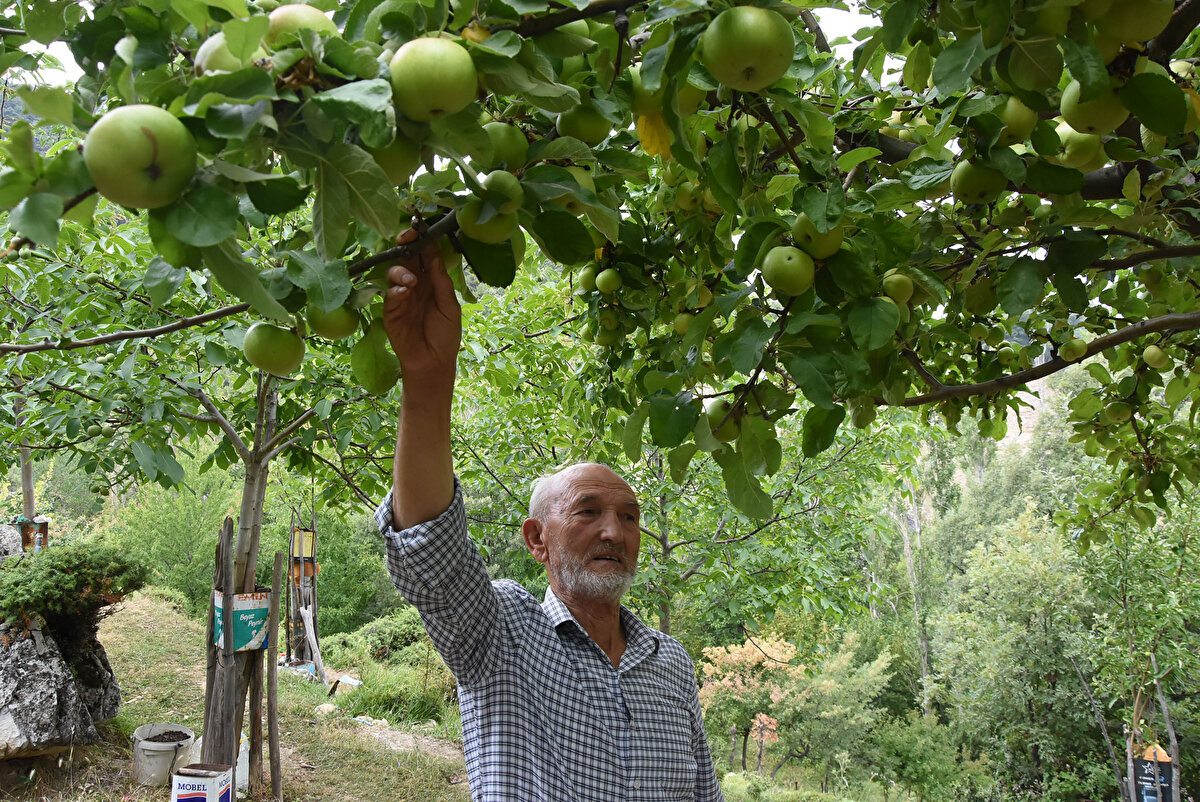 Yusuf Okçu'nun 800 nüfuslu köyde, kurduğu meyve bahçesi köylülerin yanı sıra köye gelenlerin de takdirini topladı.