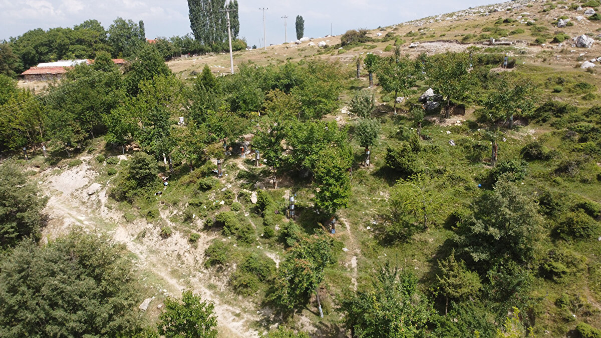 Türkiye'nin dört bir yanından getirdiği fidanları dikip boş araziyi 500'den fazla ağaçlı meyve bahçesine çeviren Okçu, her gün ağaçlara özenle bakarken, çevre temizliğini de yapıyor.