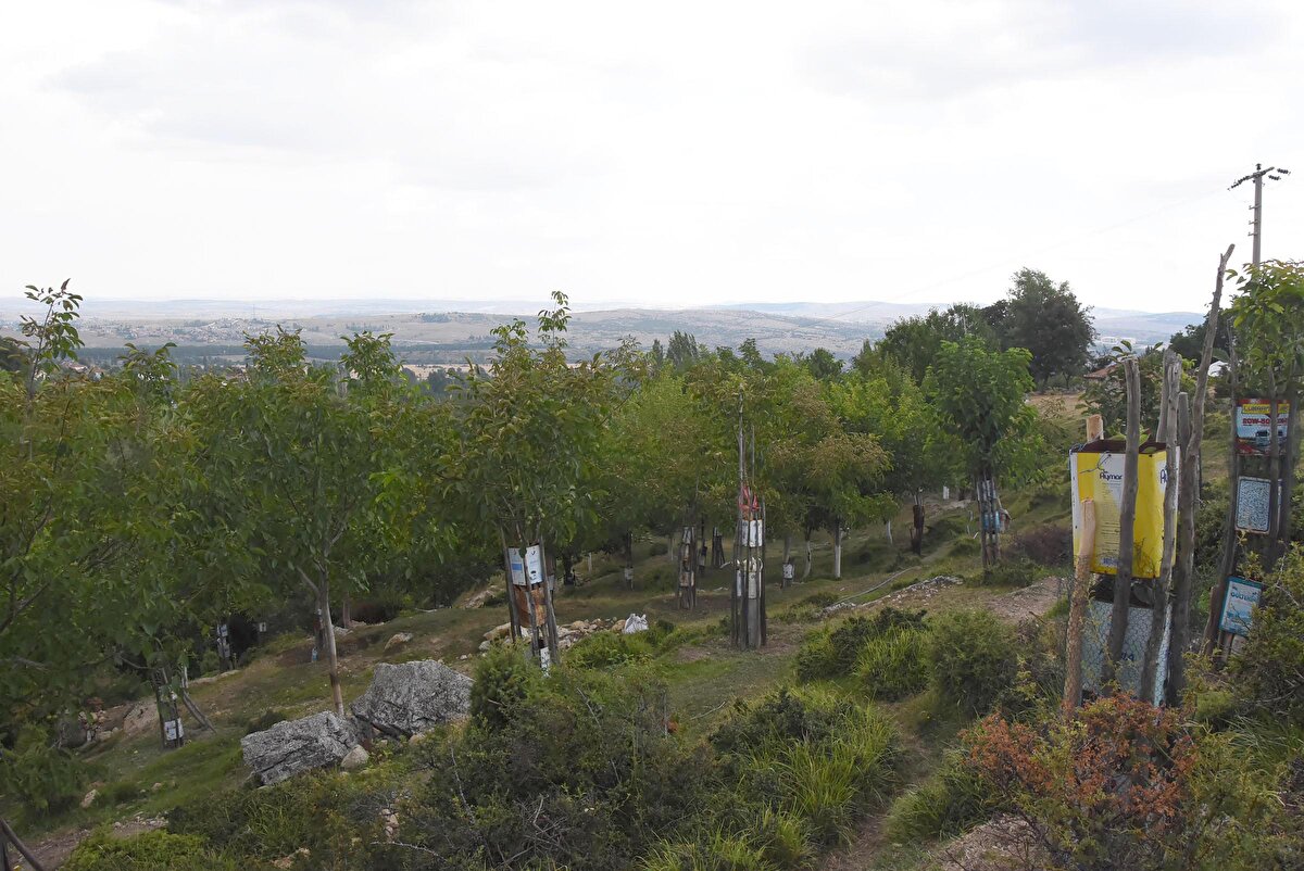 'SUYU GETİRDİKTEN SONRA MEYVE FİDANI DİKTİM'<br>Bahçesinin önemini vurgulayan Okçu, "Mayıs ayından aralık ayının sonuna kadar sürekli meyve oluyor. Buraya pikniğe gelenler mevsimine göre dut, erik, elma, ceviz gibi meyvelerden toplayıp yiyebiliyorlar. Fazla zarar vermemek şartıyla alıp götürebiliyorlar. Buraya ilk geldiğimde 2 tane erik vardı. İlk onları aşılayarak başladım. Zengin biri değilim, sadece emekliyim. Buralara su getirdim.
