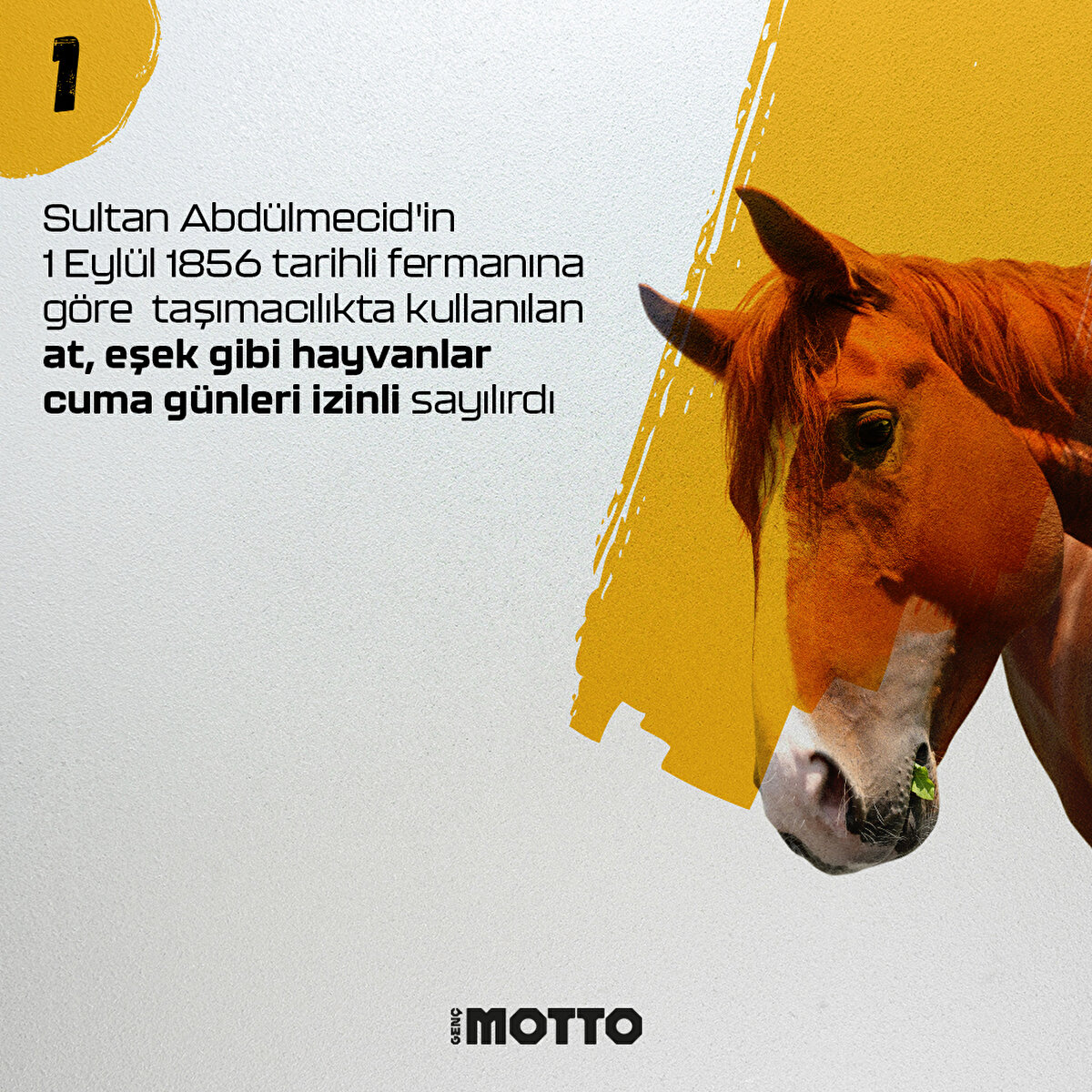 Sultan Abdülmecid'in 1 Eylül 1856 tarihli fermanına göre taşımacılıkta kullanılan at, eşek gibi hayvanlar cuma günleri izinli sayılırdı