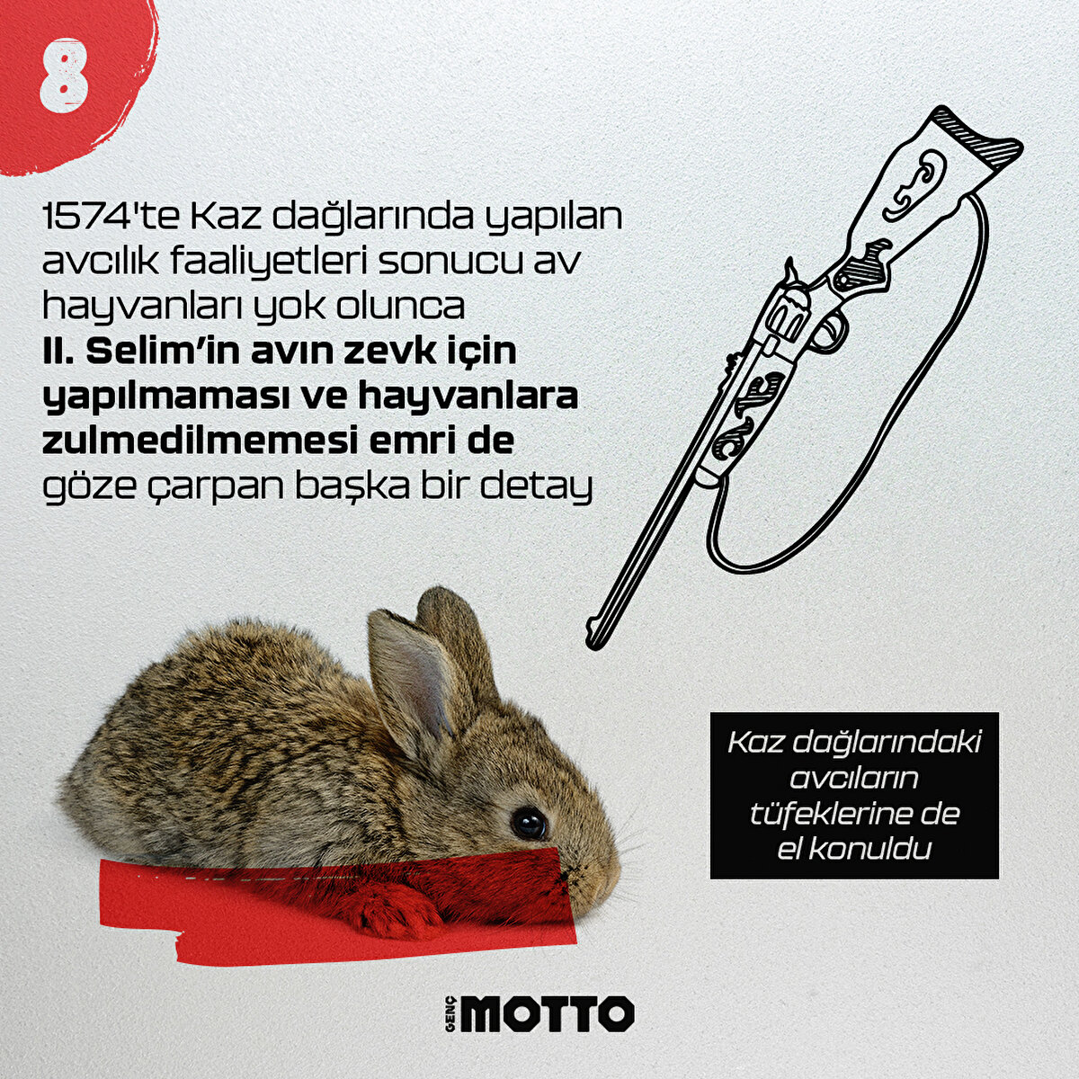 1574'te Kaz dağlarında yapılan avcılık faaliyetleri sonucu av hayvanları yok olunca II. Selim avın zevk için yapılmaması ve hayvanlara zulmedilmemesi emri de göze çarpan başka bir detay