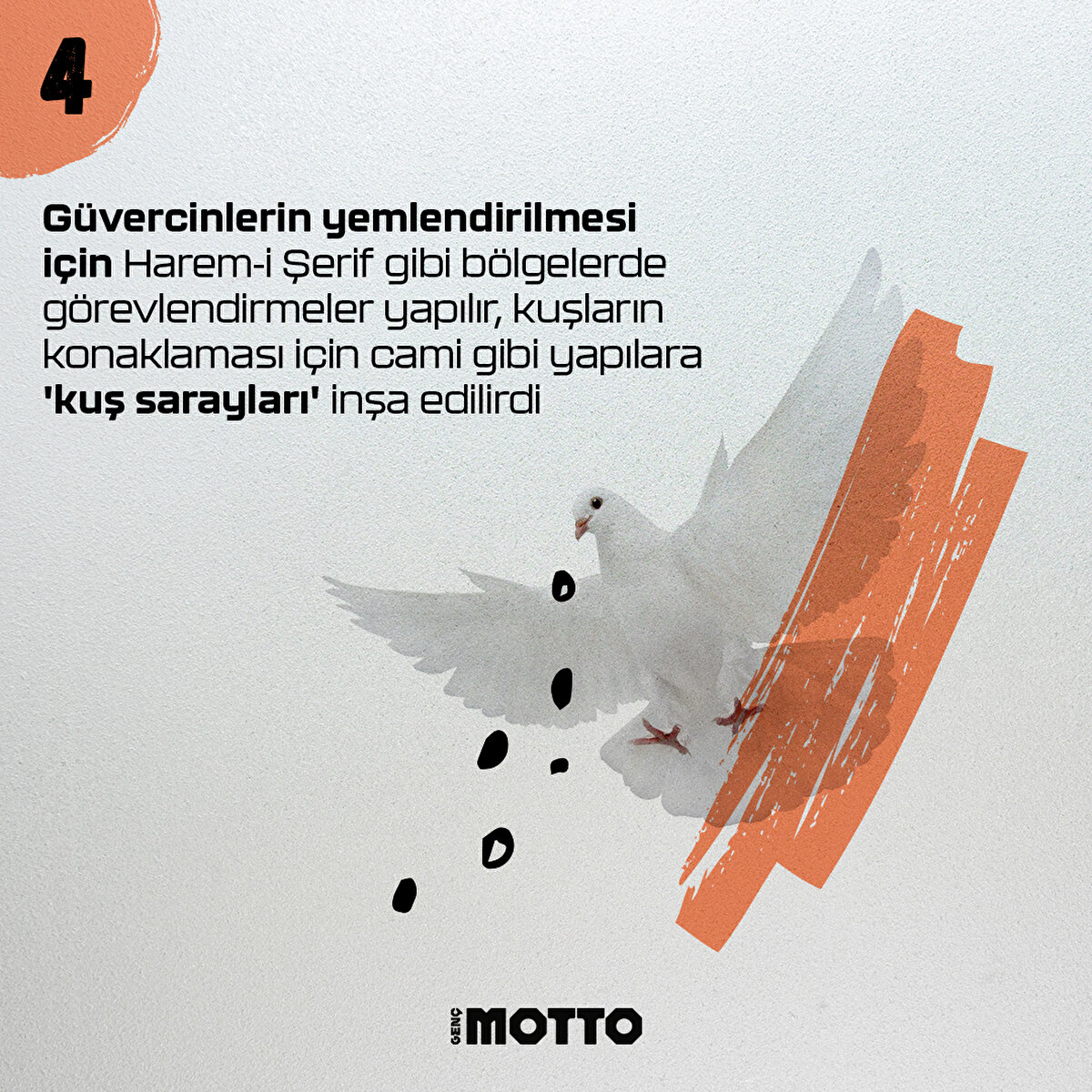 Güvercinlerin yemlendirilmesi için Harem-i Şerif gibi bölgelerde görevlendirmeler yapılır, kuşların konaklaması için cami gibi yapılara 'kuş sarayları' inşa edilirdi