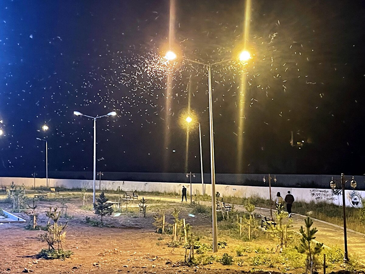Vatandaşlarda Tümer Nuh, manzaranın çok ilginç olduğunu belirterek, "Ben de bu manzarayı görmeye geldim. Çok sayıda sineğin aynı anda çıkıp uçmaları ve sonra da ölmeleri çok ilginç. İzlemeye değer. İlk kez gördüm. Sanki kar yağıyor" dedi.<br><br>
