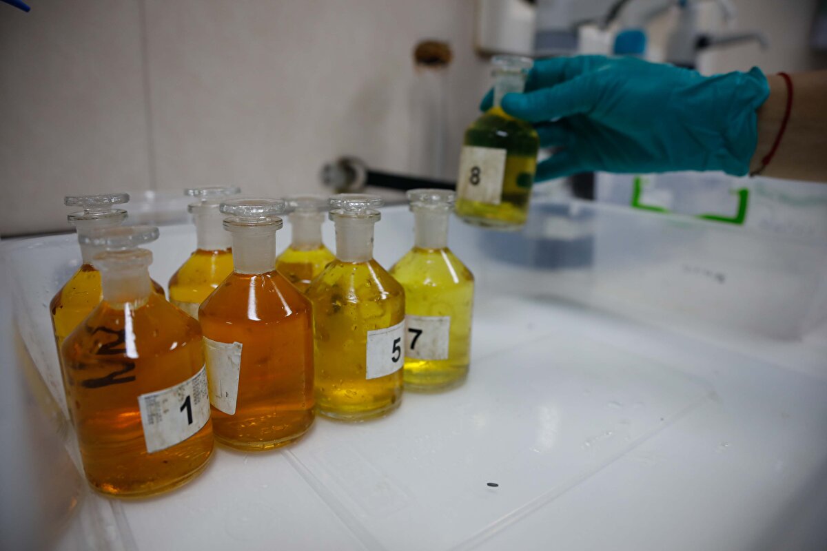 Marmara Denizi`nin tabakalı bir yapıya sahip olduğunu belirten Mutlu, "Üst tabaka ve alt tabaka diye ayırdığımız tabakalarda bir örnek görüyorsunuz şu an. Gördüğünüz gibi üst tabaka kütlesinde oksijenimiz gayet zengin ve doygunken alt tabakada ise oksijenimiz tükenme seviyesine gelmiş durumda. Bunun değişimi çok önemli. Yine geçmiş yıllarda kritik seviyenin üzerindeydi, şimdi daha da altında. Şu an sıfır seviyesinde, eğer daha da altına inerse oksijensiz solunum gerçekleştirilmeye başlanacak. O zaman da Karadeniz`in dibi gibi hidrojen sülfür tabaka oluşmaya başlayabilir. Normalde maalesef Marmara Denizi`nin doğal yapısından dolayı alt tabaka dediğimiz kütlenin oksijeni üst tabaka kadar zengin olamıyor. Bu eskiden 2 miligram kadardı, şu an bulunduğunun iki katı kadardı. Dipteki atmosfer etkisinden uzak olan su, gittikçe kötüleşiyor. Bu demek oluyor ki bizim Marmara Denizi`ni korumamız gerek. Biraz önce bahsettiğim gibi cihazımız inerken bu kütleleri belirliyoruz. Daha sonrasında cihazımız yukarı doğru çıkarken belirlediğimiz derinliklerden örneklerimizi alıyoruz. Bu alanlar genelde oksijenin kritik olduğu seviyeler oluyor. Bu şekilde Marmara Denizi`nde çalışmalarımızı 150 noktada gerçekleştiriyoruz" dedi.<br>