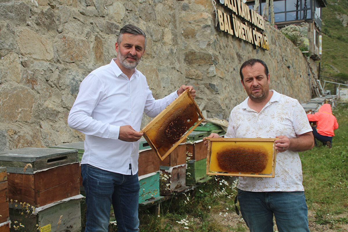 Bizim kooperatifimizde 1 tona yakın ön siparişimiz var. Bunun yüzde 80'ini karşılayacağımızı düşünüyorum.<br>