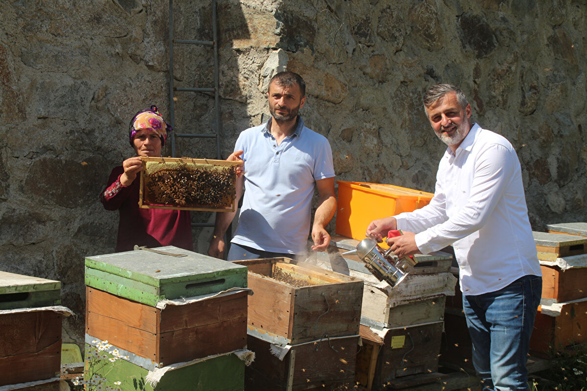 Yaklaşık 200 üretici, Haziranda 3 bin 200 arı kovanını güneşlenme oranına göre yaylada çeşitli noktalara yerleştirdi. Arılarını 40'ı endemik 300'e yakın çiçekten oluşan zengin yayla florasıyla buluşturan üreticiler, dünyaca ünlü Anzer balının sağımına hava şartlarının uygun olmasıyla başladı.