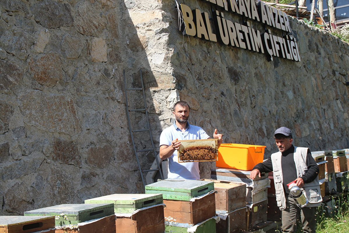Anzer Çiçekli Köy Tarımsal Kalkınma Kooperatifi Yönetim Kurulu Başkanı Osman Şafak Kan, gazetecilere, Anzer balının coğrafi işaret aldığını söyledi.<br>