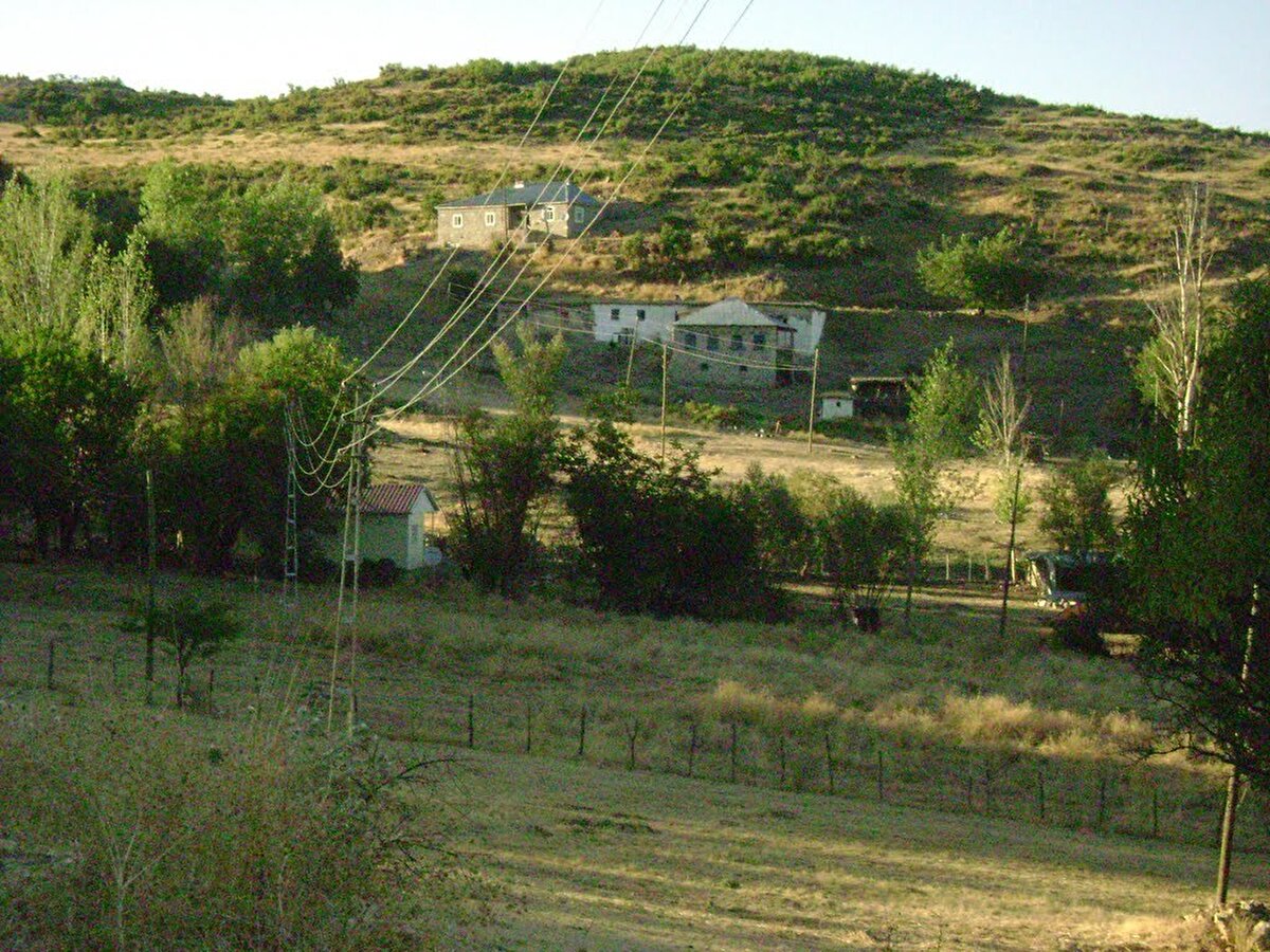 Test sonuçlarında ineğin kuduz olduğu belirlendi.