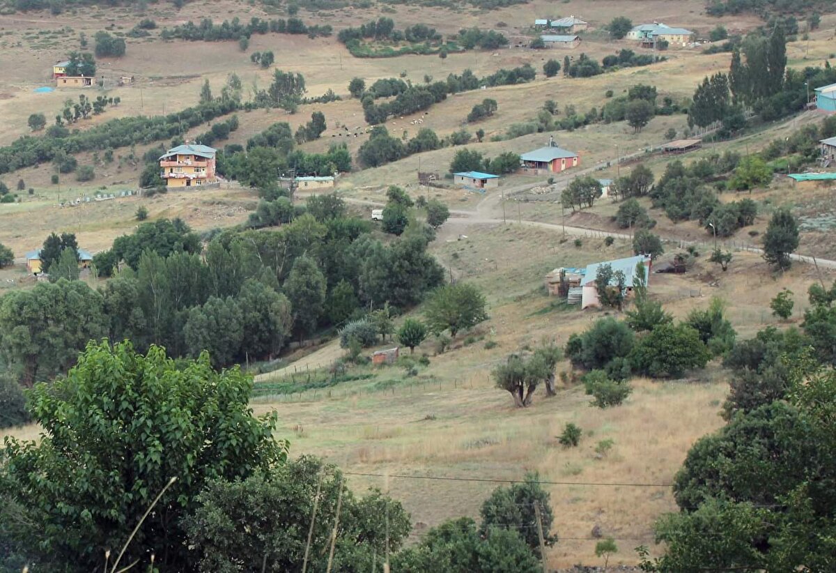Durumun bildirildiği Tarım ve Orman İl Müdürlüğü'nden gelen ekipler, hayvandan alınan numuneyi test için Elazığ Veteriner Kontrol Enstitüsü Müdürlüğü'ne gönderdi.