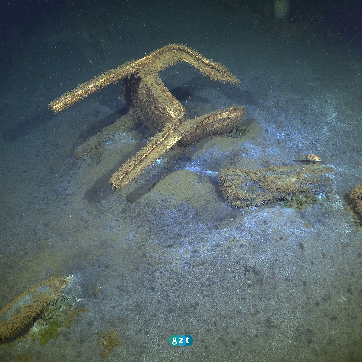 Kayıtlarda, 23 yıl önce insanların çay içtiği ve gezindiği Çınarlık Meydanı'ndan enkaza gömülen arabaların, otellerin ve evlerin yosunla kaplandığı ve deniz canlılarına ev sahipliği yaptığı görülüyor.