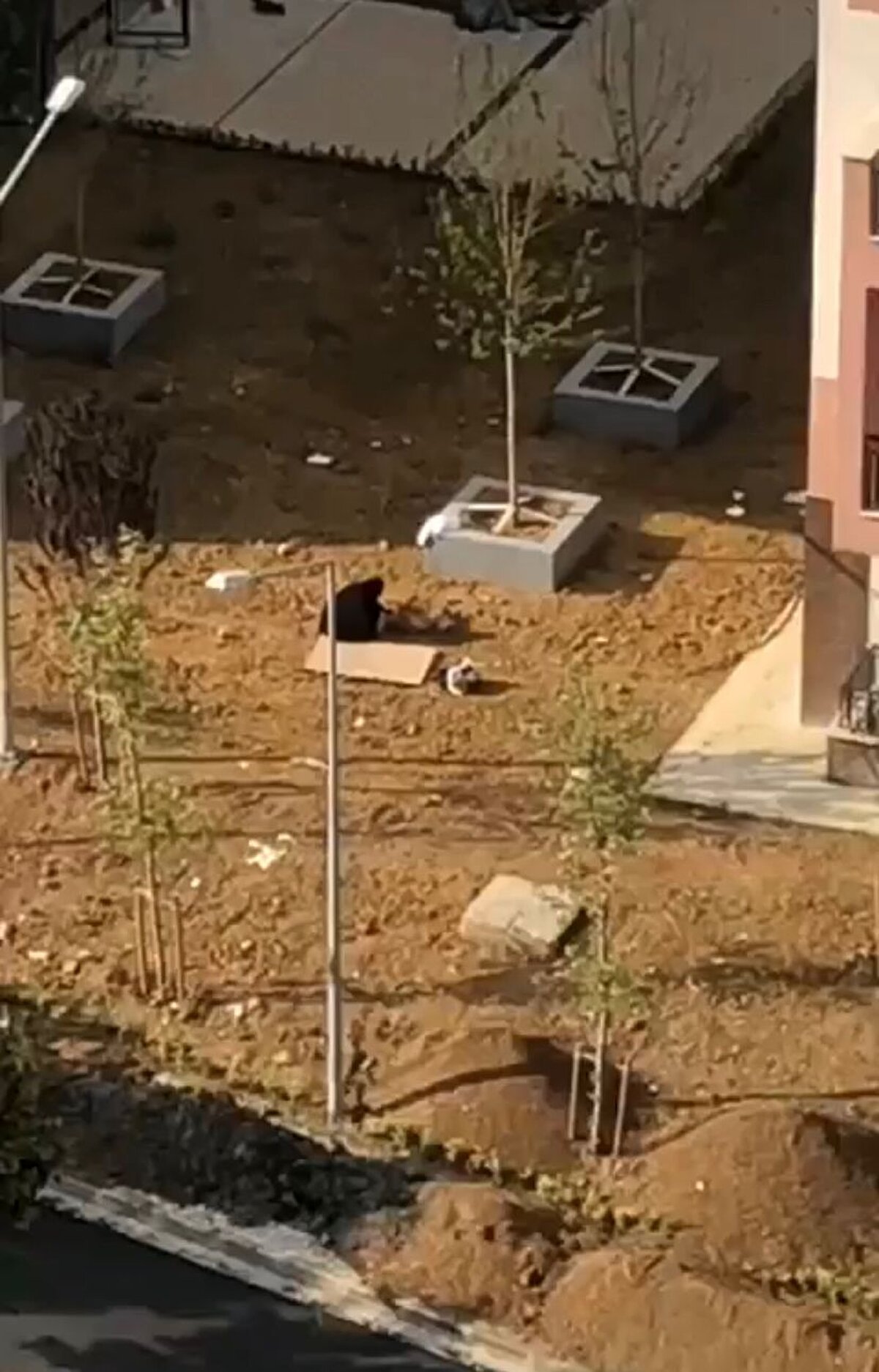 Biz sorduk yıllar önce elektrik çekmiş vücudu. Bunun için de kendisi toprağa gömmüş toprak elektriği alsın diye. Daha sonra polisler geldi. En sonda da karı koca çıkıp gittiler. Artık eve mi gittiler hastaneye mi gittiler bilmiyorum" dedi. 