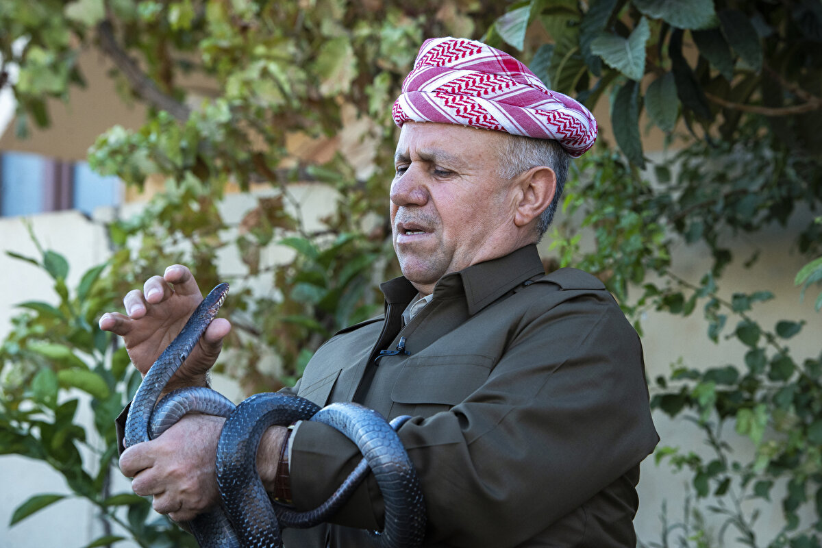 Yıllardır evinde ailesiyle 60 yılan besliyor