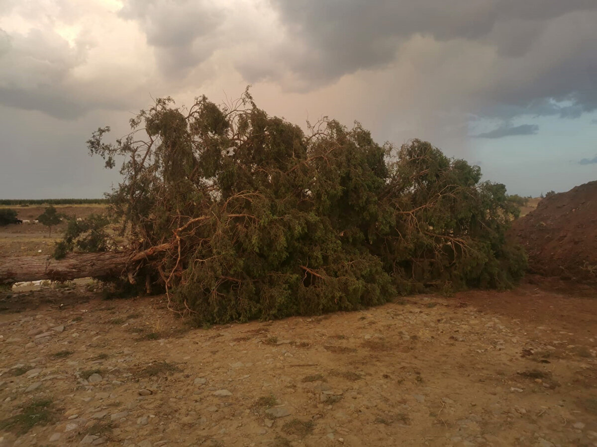 'DEKORLARIMIZIN BÜYÜK BÖLÜMÜ ZARAR GÖRDÜ'<br>Hortumu cep telefonu ile görüntüleyen Hande Akdoğan, "Hortum, çekim platomuza büyük zarar verdi. Burası hem oturduğumuz ev hem de fotoğrafçı olduğumuz için çekim platosu olarak kullanıyorduk. Çok masraf yaparak yaptığımız, dekorların büyük bölümü zarar gördü. Hortum başlayınca görüntülemeye başladım. Bize doğru yaklaşınca ve etkisini hissedince büyük korku yaşadık. Sağlığımızın yerinde olmasına şükrediyoruz" dedi. 