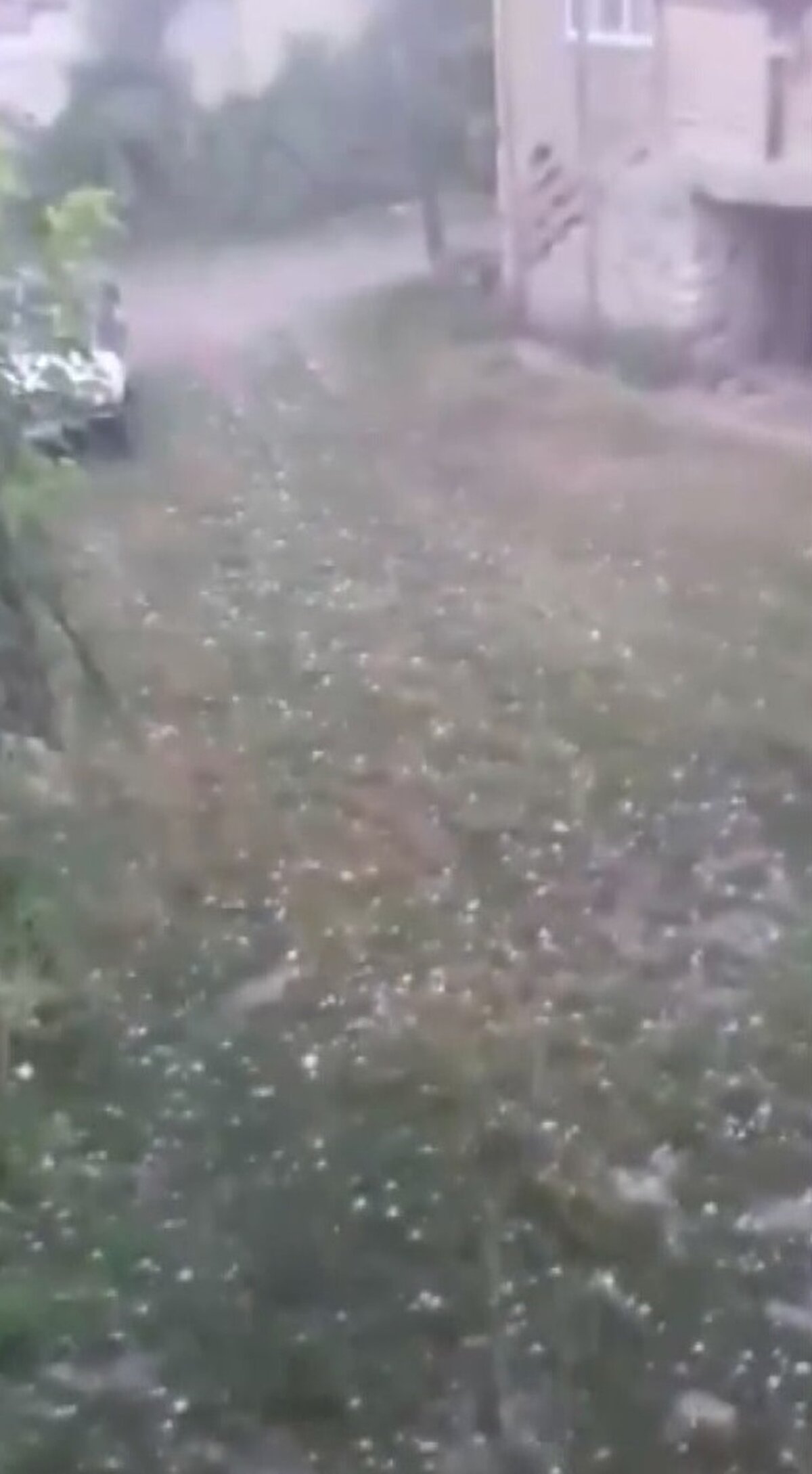 Bir vatandaşın aracını, branda örterek doludan korumaya çalıştığı anlar, kameraya yansıdı. Dolu, tarım arazilerine de zarar verdi.