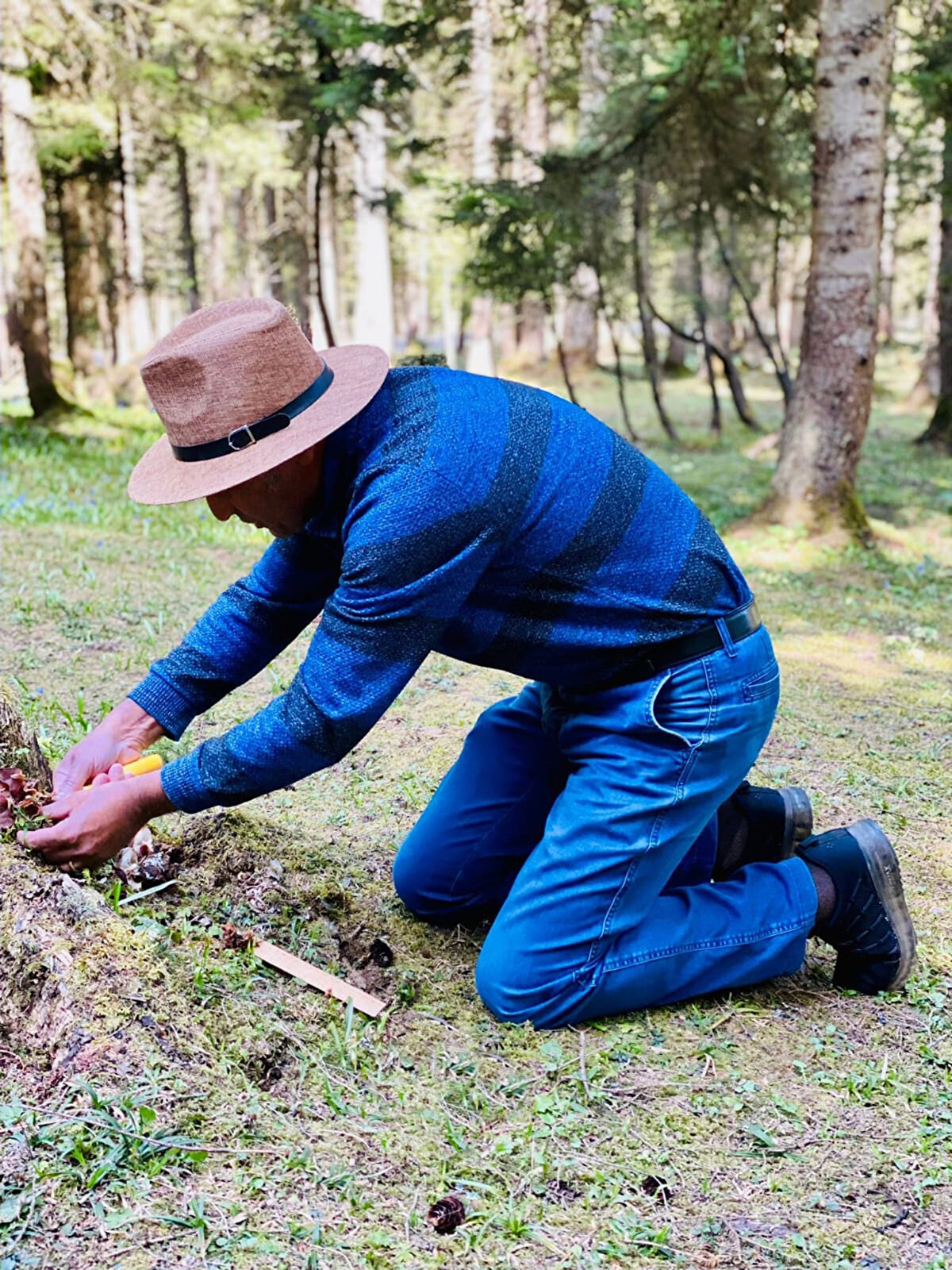Türkiye genelinde de son 100 yılda yapılan araştırmalarla 4 bin doğa mantarının 'Türkiye Mantar Listesi'ne kazandırıldığını belirten Prof. Dr. Sesli, "Karadeniz Teknik ve Trabzon Üniversitesi'nin katkılarıyla biz de dünyada varlığı bilinen 150 yeni kayıt mantar türünü Türkiye'de ilk kez tespit ettik. 2015 yılından beri yaptığımız arazi ve laboratuvar incelemeleri sonucunda 20 tane mantarın da dünyada ilk kez keşfini yaparak, bilimsel isimlerini verdik. Makale olarak yayınladık ve isimlerini 'Dünya Mantar Bankası'na bildirerek, ülkemizin mantar çeşitliliğine katkıda bulunduk" dedi.