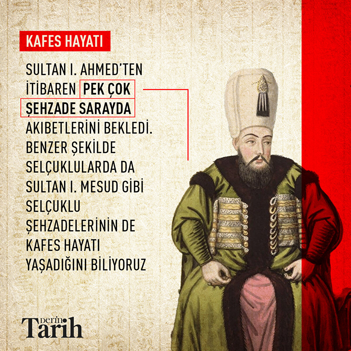 Sultan I. Ahmed’ten itibaren pek çok şehzade sarayda akıbetlerini bekledi. Benzer şekilde Selçuklularda da Sultan I. Mesud gibi Selçuklu şehzadelerinin de kafes hayatı yaşadığını biliyoruz