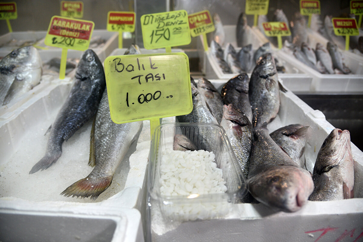 Akdeniz Üniversitesi Su Ürünleri Fakültesi'nden Prof. Dr. Mehmet Gökoğlu, kemikli balıkların tamamında otolit olduğunu belirtti. Balık familyaları içinde eşkina ailesi türündeki otolit taşının büyüklüğünden bahseden Prof. Dr. Gökoğlu, "Geçmişten bu yana bilinen eşkina balıklarının otolitini çıkarıp, kurutup, havanda dövdükten sonra toz haline getirilip, limon sıkılarak tüketilmesinin böbrek taşına iyi geldiği bilinir. Bu konuda bilimsel araştırma yok. Beyaz renkli, tırnak büyüklüğünde balığın kemik yapısında bulunan taş, kalsiyum karbonattan oluşuyor. Böbrek taşını düşürdüğüne dair çok fazla söylem var. Böbrek taşını düşürmede kullanılan otolit, eşkina balığı otolitidir. Aynı familyadan olduğu için karakulak ve granyözün otolitinin çıkarılıp satılıp kullanıldığını görüyoruz" diye konuştu.