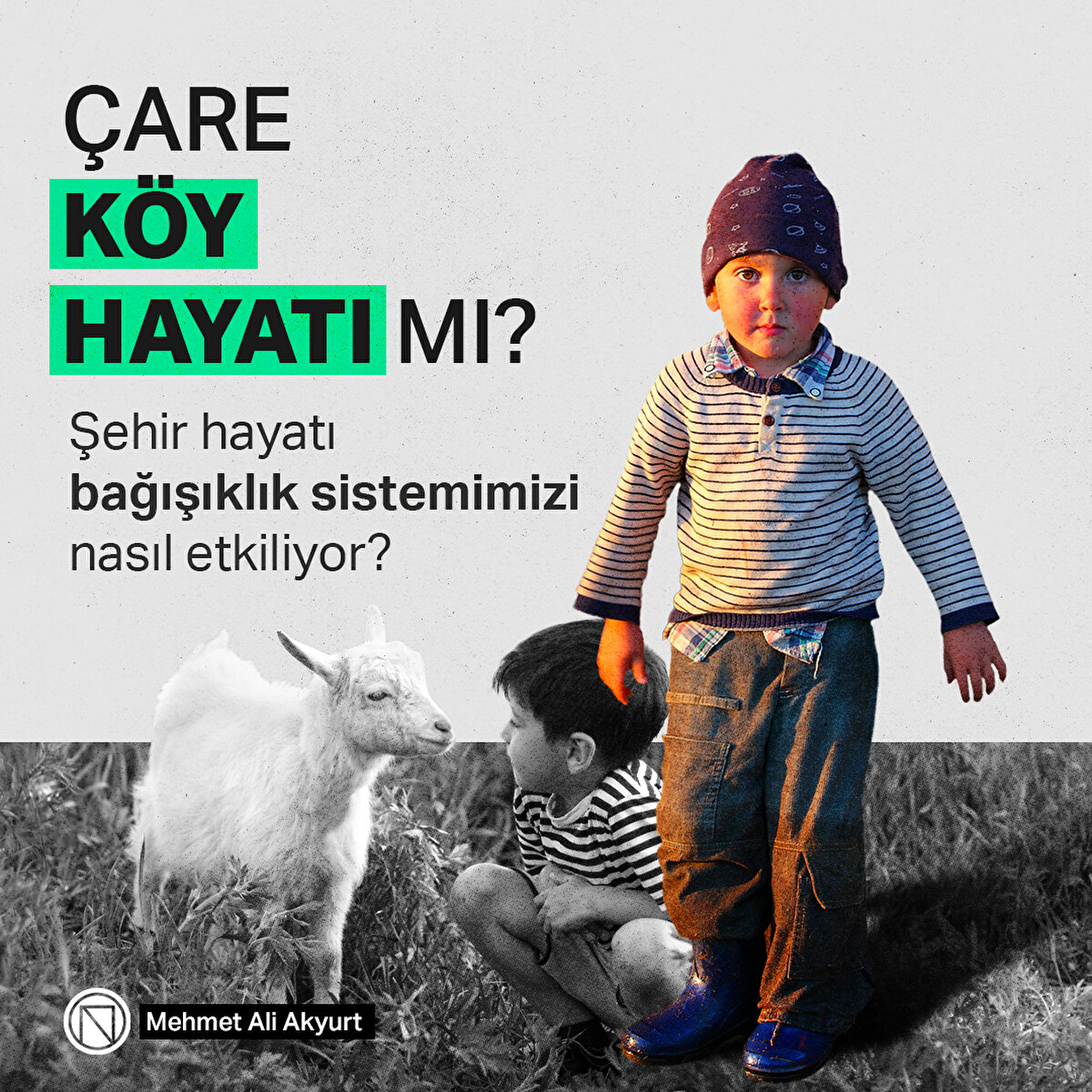 Şehir hayatı bağışıklık sistemimizi nasıl etkiliyor?