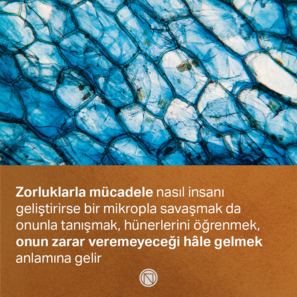 Zorluklarla mücadele nasıl insanı geliştirirse bir mikropla savaşmak da onunla tanışmak, hünerlerini öğrenmek, onun zarar veremeyeceği hâle gelmek anlamına gelir