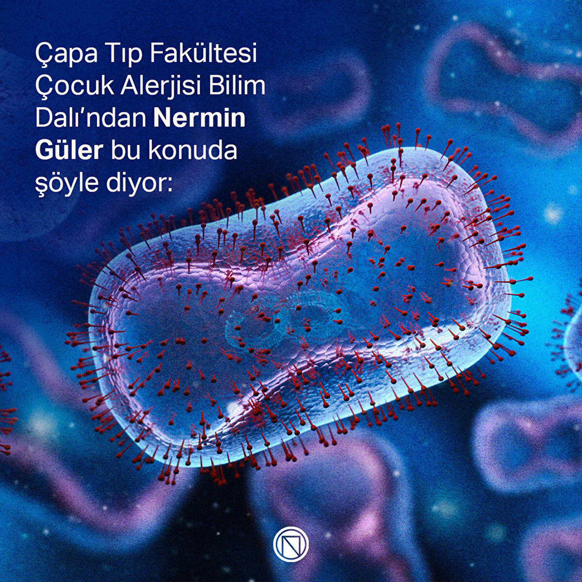 Çapa Tıp Fakültesi Çocuk Alerjisi Bilim Dalı’ndan Nermin Güler bu konuda şöyle diyor: