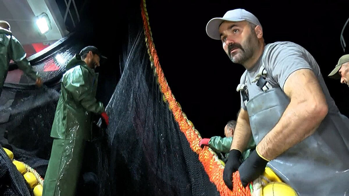 2021-2022 su ürünleri av sezonu avcılık yoluyla üretimin yarısından fazlasını oluşturan hamsi ve lüfer açısından verimli ve bereketli geçti. Bu av sezonunda da yapılan araştırmalar ve öncü göstergeler başta palamut, hamsi ve lüfer avcılığının verimli geçeceğine işaret ediyor.<br><br>