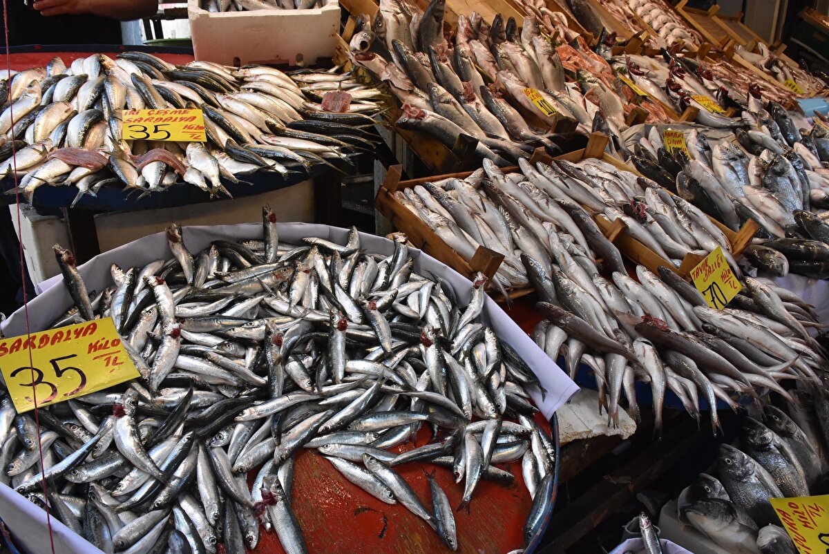 'FİYATLAR DAHA DA DÜŞER'<br>İzzettin Yedikardeş de sezonun açılmasının yüzleri güldürdüğünü dile getirdi. Müşterilerin daha ucuz balık yemeye başlayacağını kaydeden Yedikardeş, "Bunlar, balık yenilebilecek fiyatlar. Barbun 70 lira, tavuk balığı da 50 ile 70 lira arasında seyrediyor. Bize göre çok ucuz. Yaz aylarında kıyı balıkçılığı yapılıyordu. Az balık geldiği için fiyatlar daha yüksekti. 15 Eylül'den sonra Akdeniz'de de av yasağı kalkacak. Fiyatlar daha da düşer" dedi.