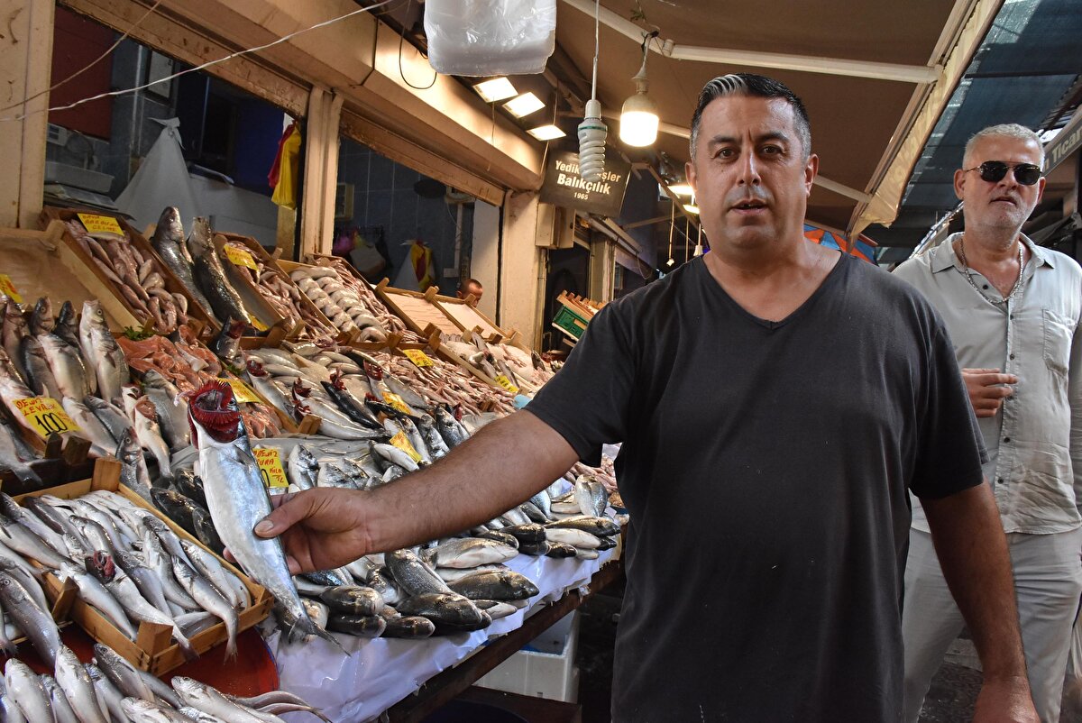 Avlanma yasağının sona ermesiyle Marmara Denizi'nin güneyi ve Kuzey Ege'de 1 Eylül'de balıkçılar, ağlarını suya bıraktı.