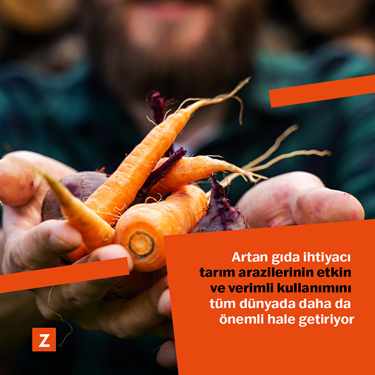 Gıda ihtiyacının sürekli artması arazilerin verimli kullanılması ihtiyacını beraberinde getiriyor.
