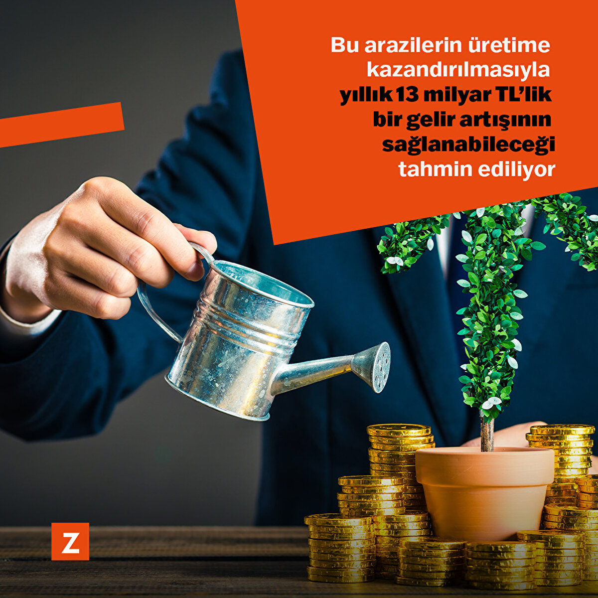 Değerlendirilemeyen toprakların üretime kazandırılması halinde büyük gelirler elde edebilir.