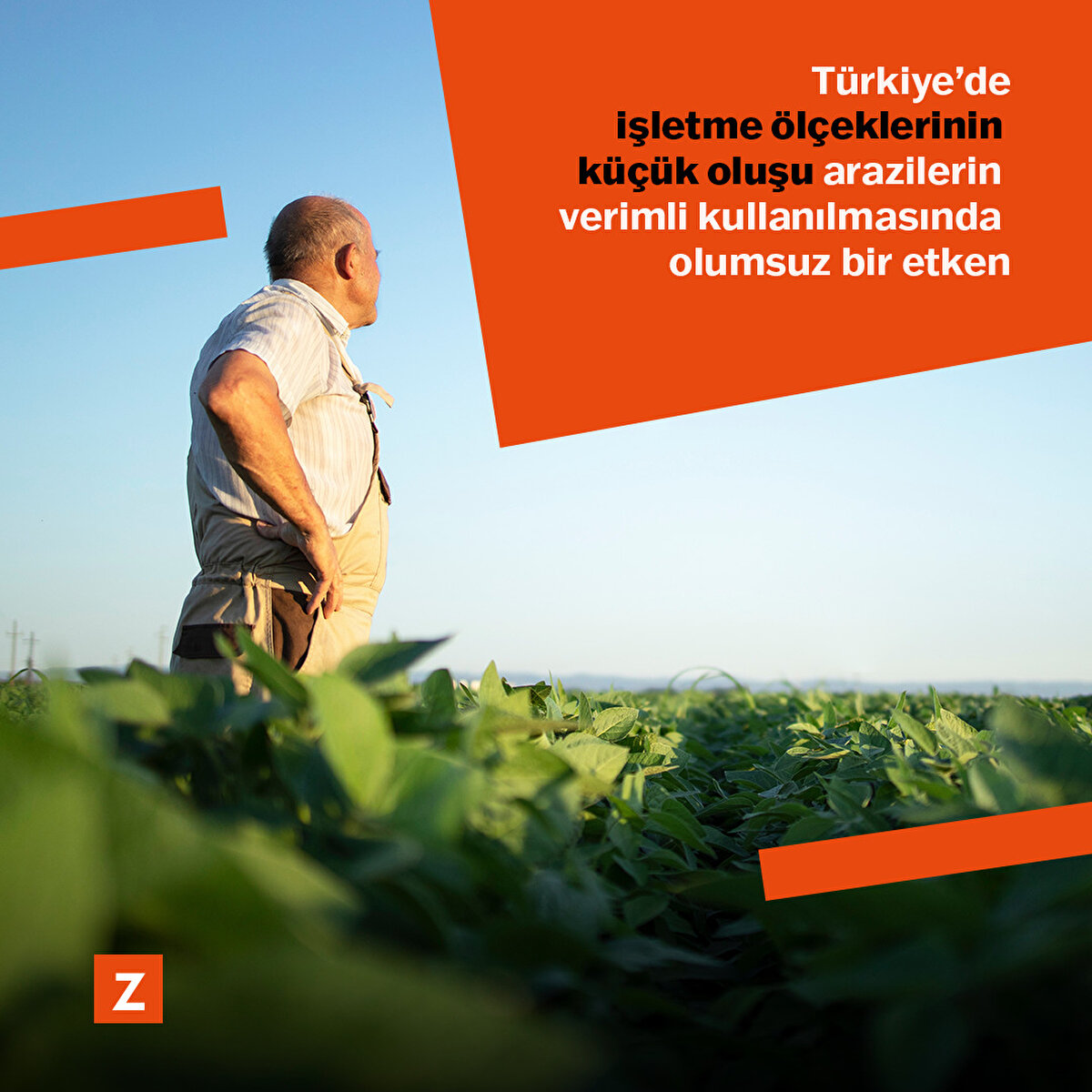 Türkiye'de işletmelerin küçük ölçekli olması arazilerin verimli kullanılmasını olumsuz etkiliyor.