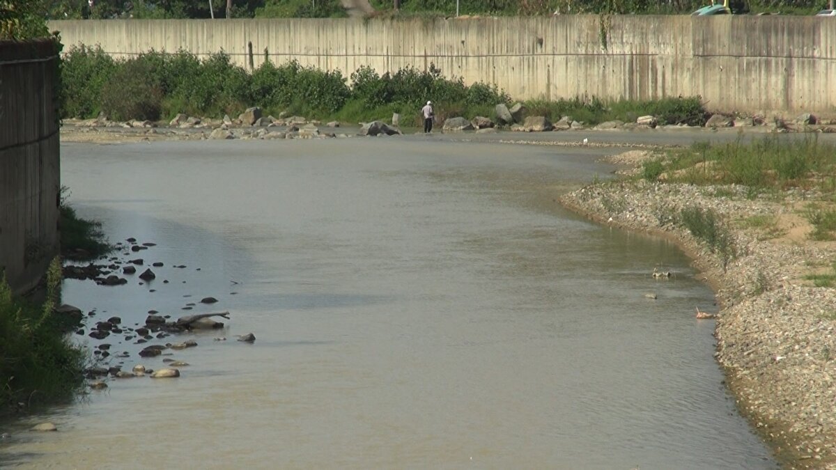 'KARADENİZ'DE 3-5 GÜN YAĞMADIĞI ZAMAN KURAK OLUR'<br>(İTÜ) Meteoroloji Mühendisliği Bölüm Başkanı, Afet Yönetimi Enstitüsü ve İklim Değişikliği Uygulama ve Araştırma Merkezi Müdürü Prof. Dr. Mikdat Kadıoğlu, Karadeniz'de 3-5 gün yağmur yağmazsa kuraklık olacağını belirterek, şöyle konuştu: